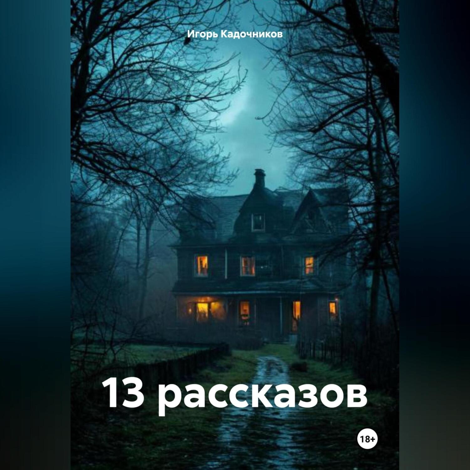 Обложка книги «13 рассказов»