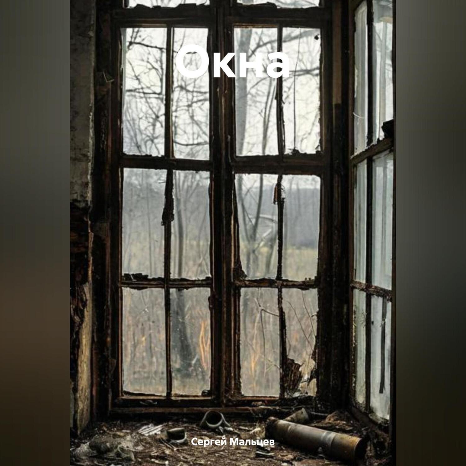 Обложка книги «Окна»