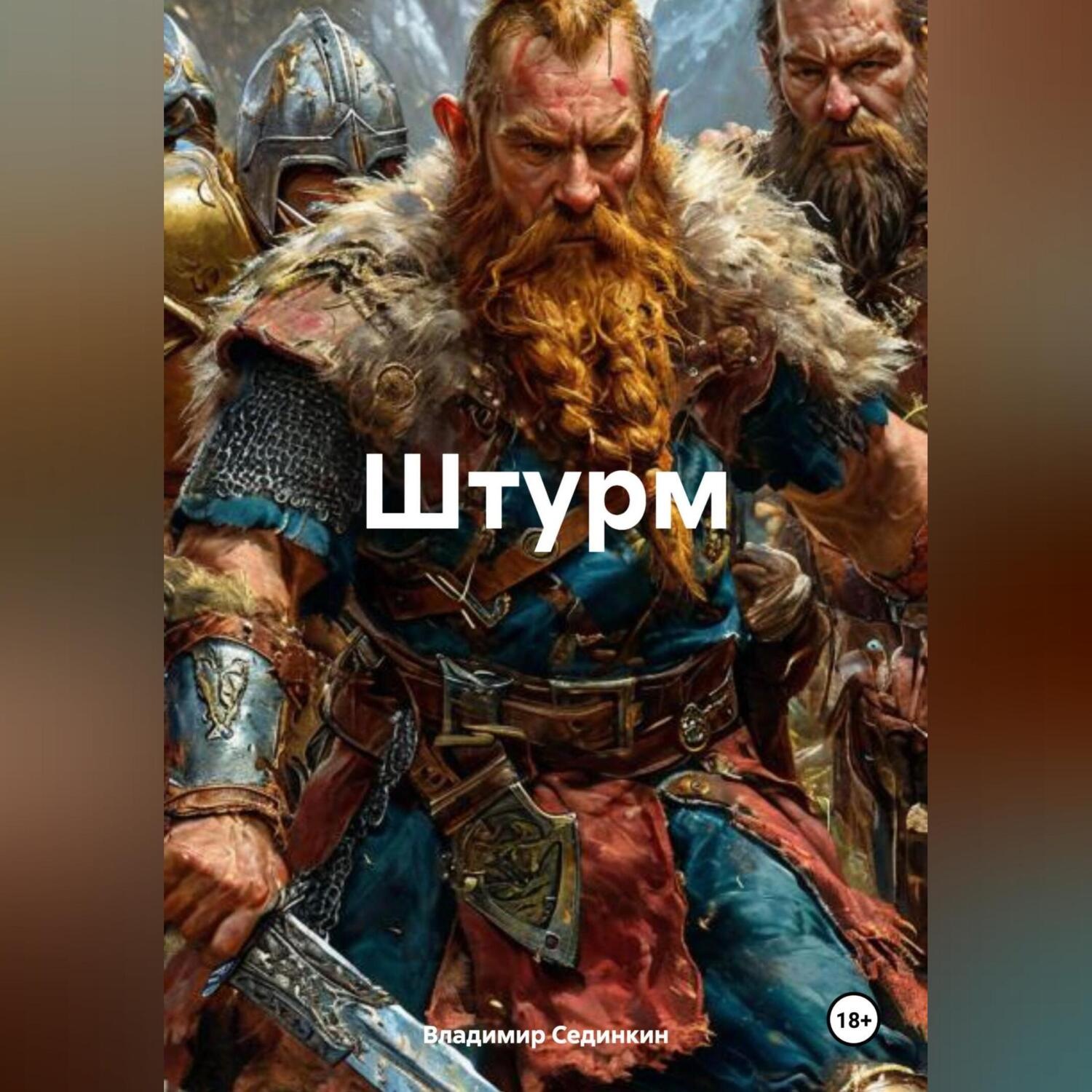 Обложка книги «Штурм»