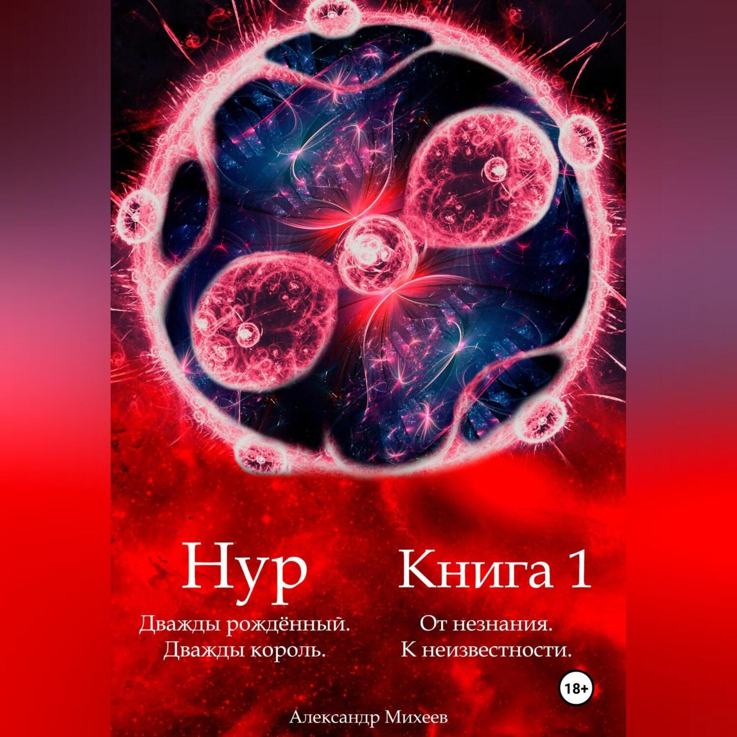 Обложка книги «Нур. Дважды рождённый. Дважды король. Книга 1. От незнания. К неизвестности.»