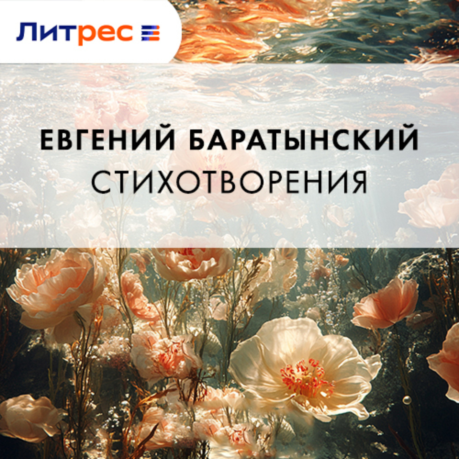 Обложка книги «Стихотворения»