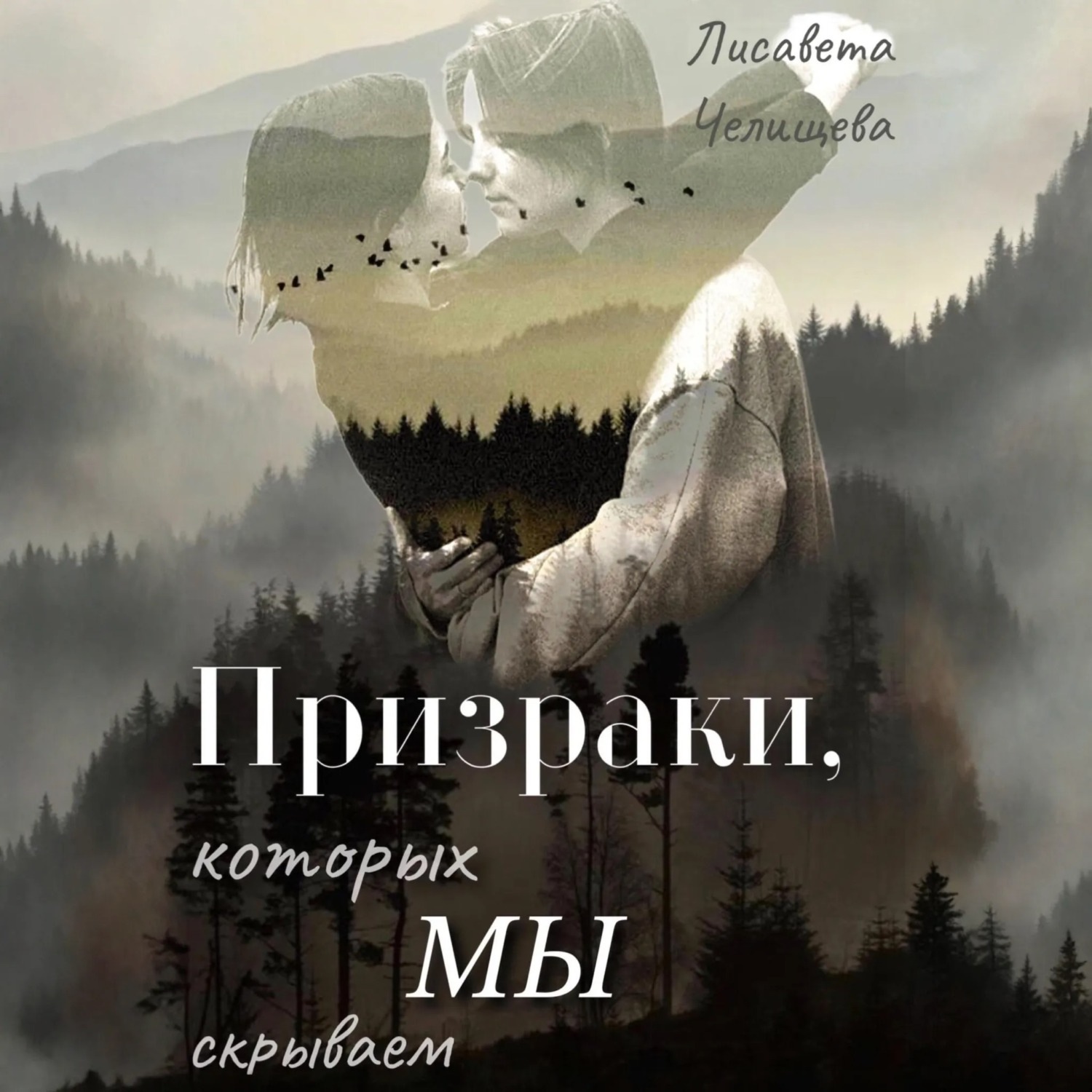 Обложка книги «Призраки, которых мы скрываем»