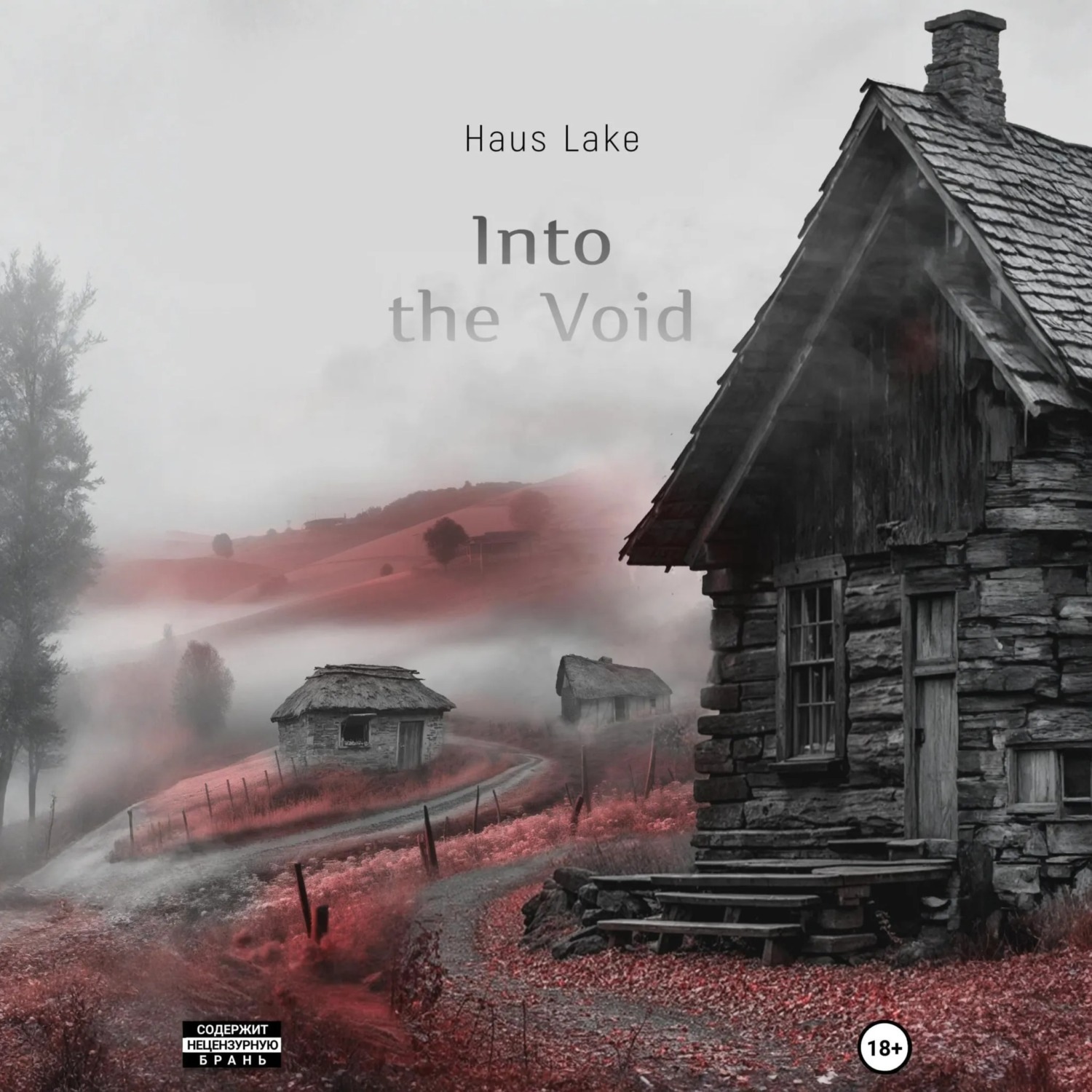 Обложка книги «Into the Void»