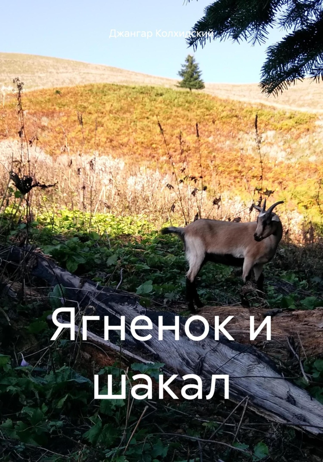 Обложка книги «Ягненок и шакал»