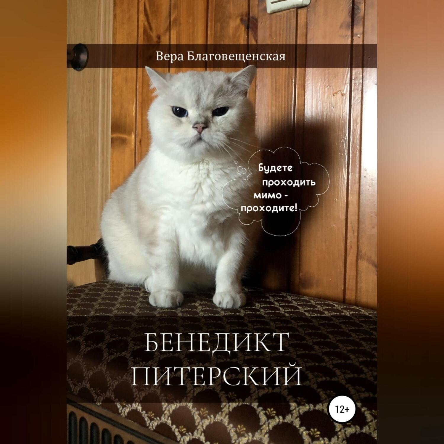 Обложка книги «Бенедикт Питерский»