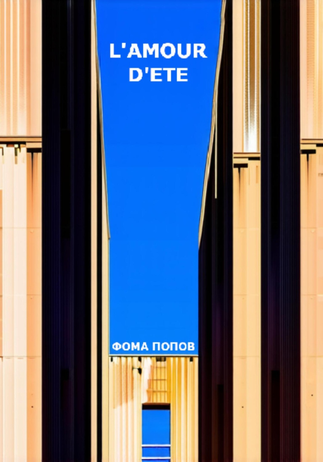 Обложка книги «L'amour d'ete»