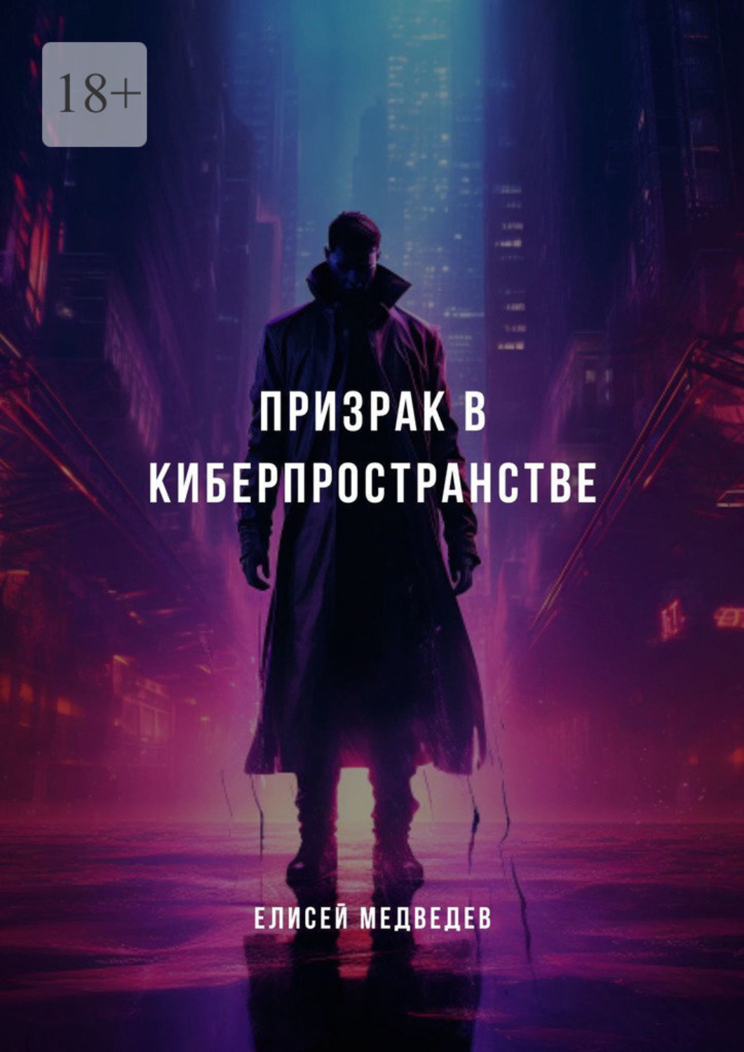 Обложка книги «Призрак в киберпространстве»