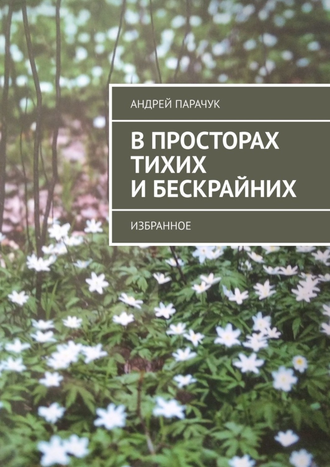 Обложка книги «В просторах тихих и бескрайних. Избранное»