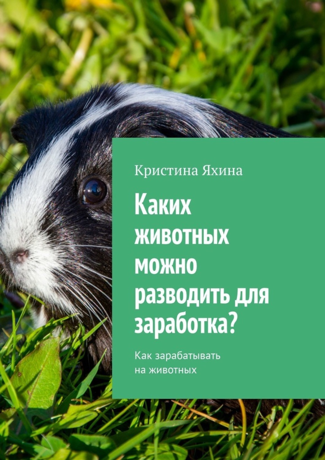 Обложка книги «Каких животных можно разводить для заработка? Как зарабатывать на животных»