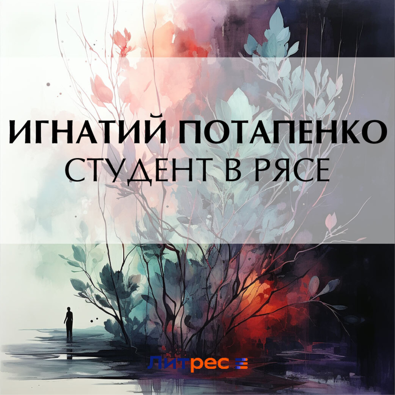 Обложка книги «Студент в рясе»