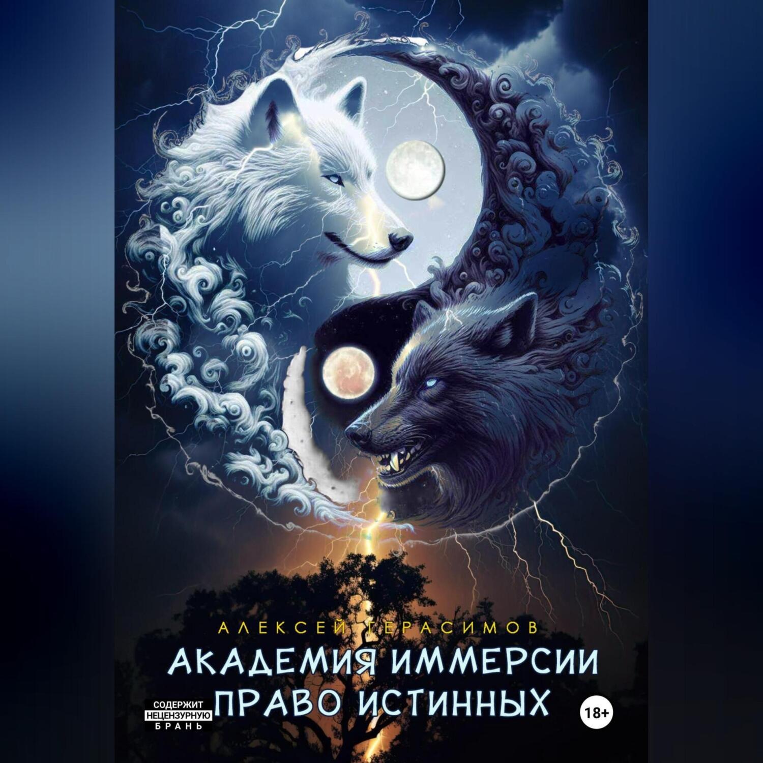 Обложка книги «Академия Иммерсии 2: Право Истинных»