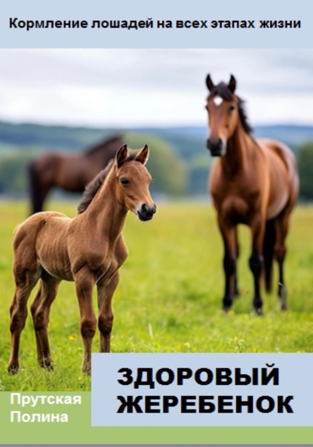 Обложка книги «Кормление лошадей на всех этапах жизни»