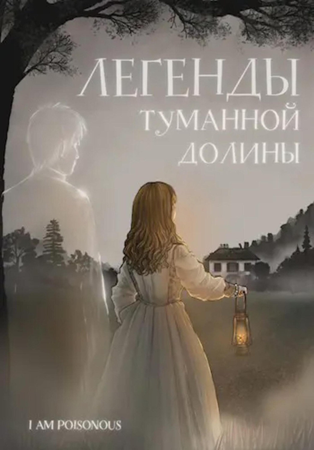 Обложка книги «Легенды Туманной долины»