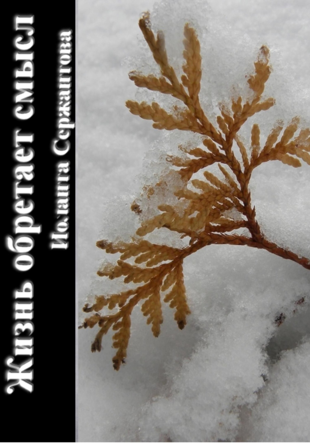 Обложка книги «Жизнь обретает смысл…»