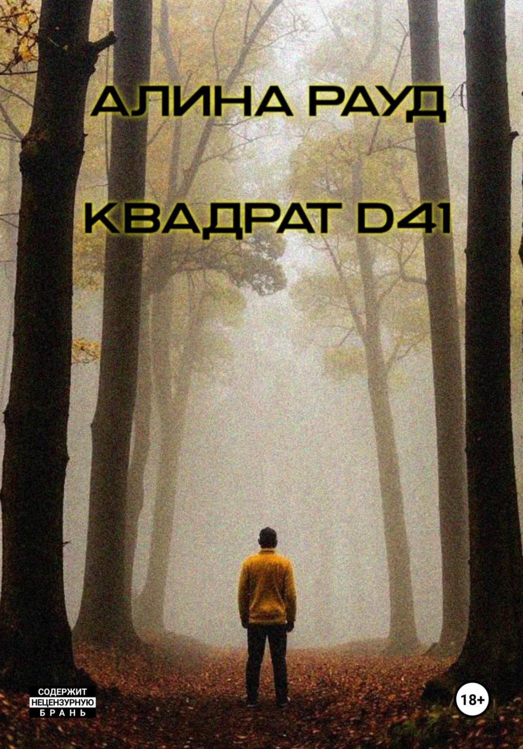 Обложка книги «Квадрат D41»