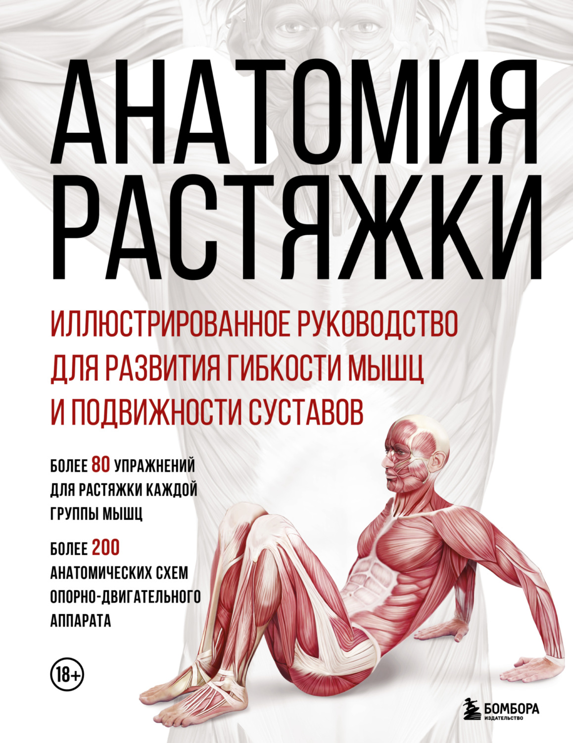 Обложка книги «Анатомия растяжки. Иллюстрированное руководство для развития гибкости мышц и подвижности суставов»