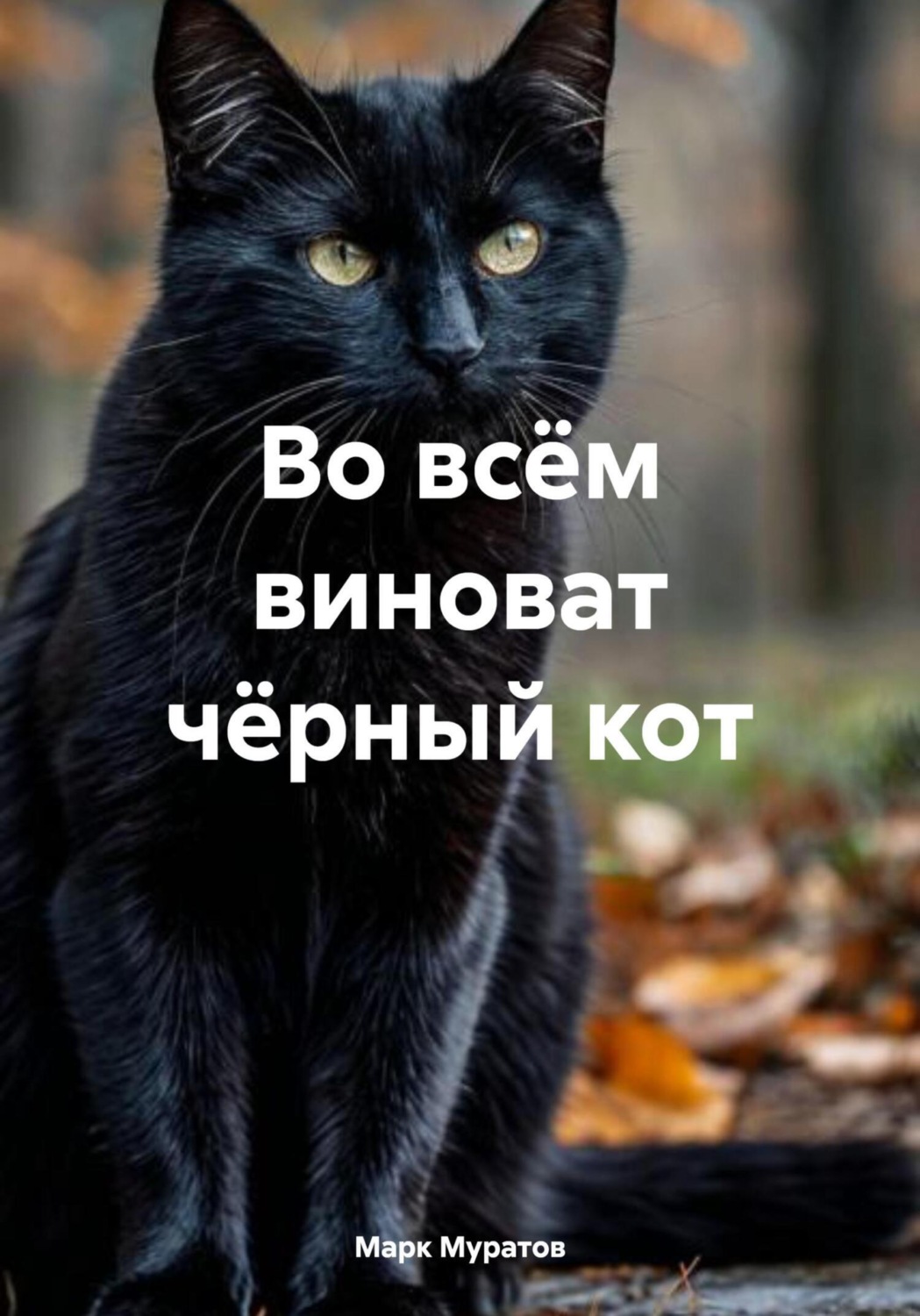 Обложка книги «Во всём виноват чёрный кот»