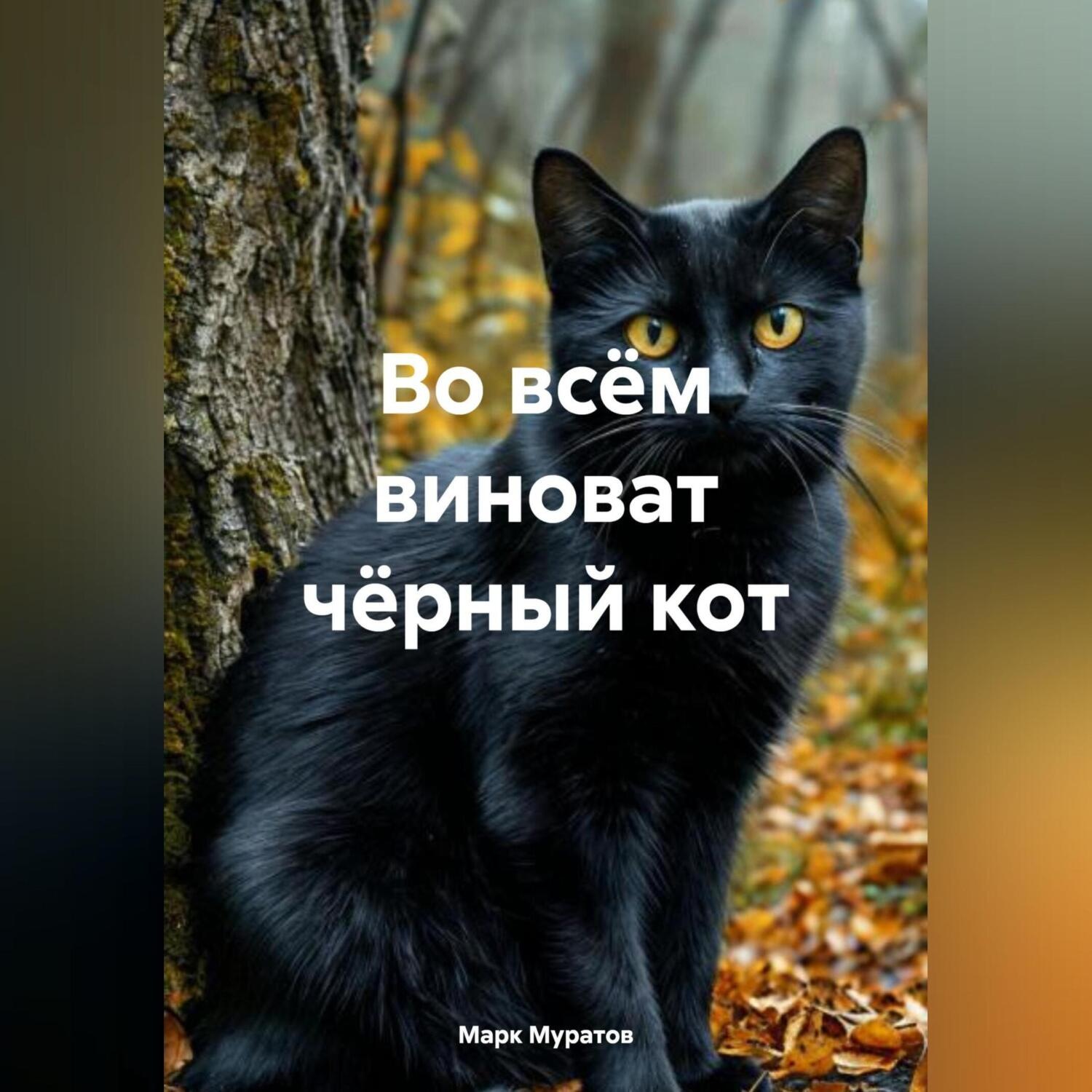 Обложка книги «во всём виноват чёрный кот»