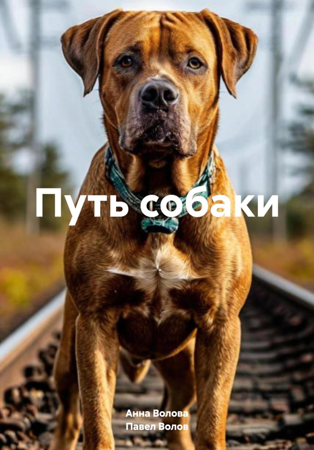 Обложка книги «Путь собаки»
