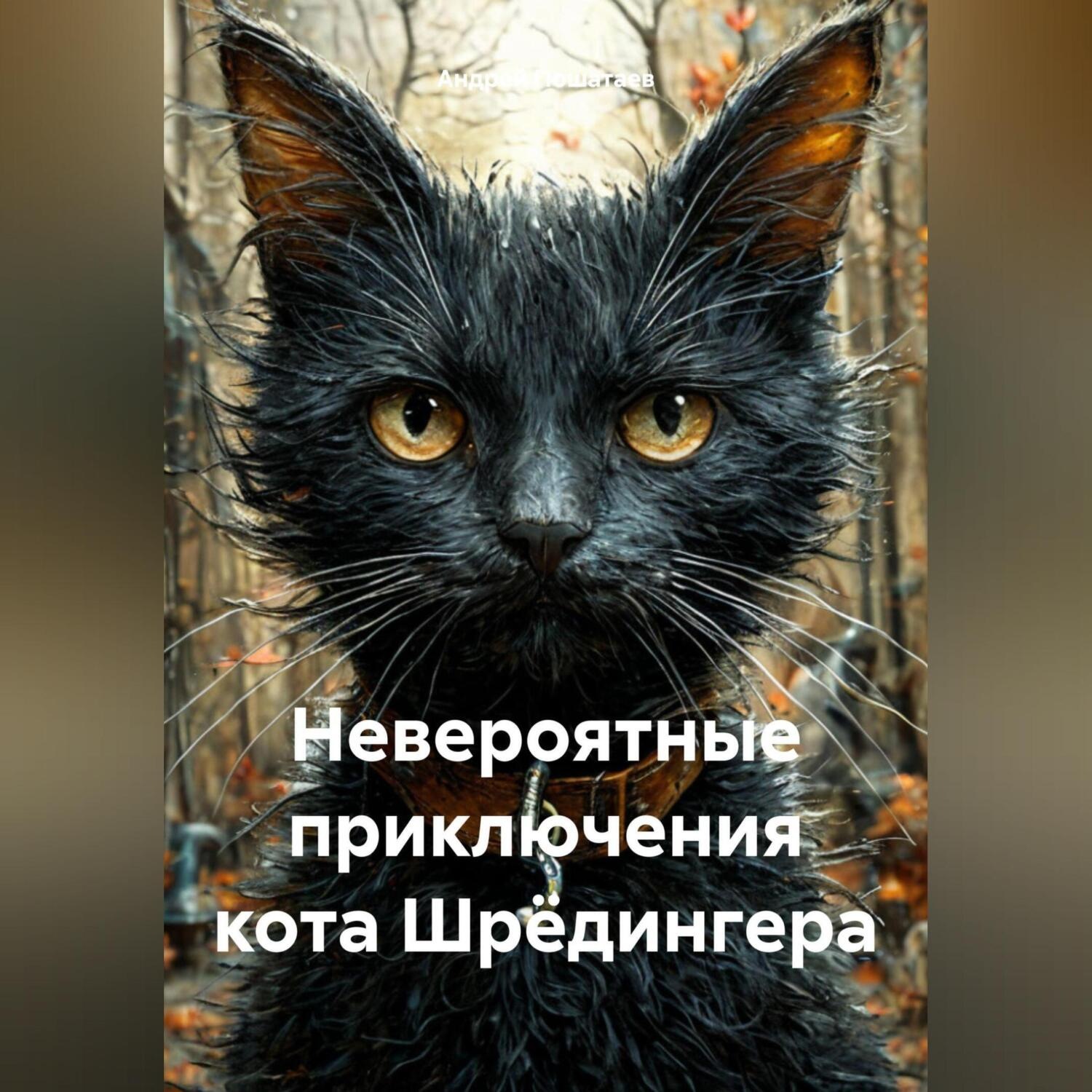 Обложка книги «Невероятные приключения кота Шрёдингера»