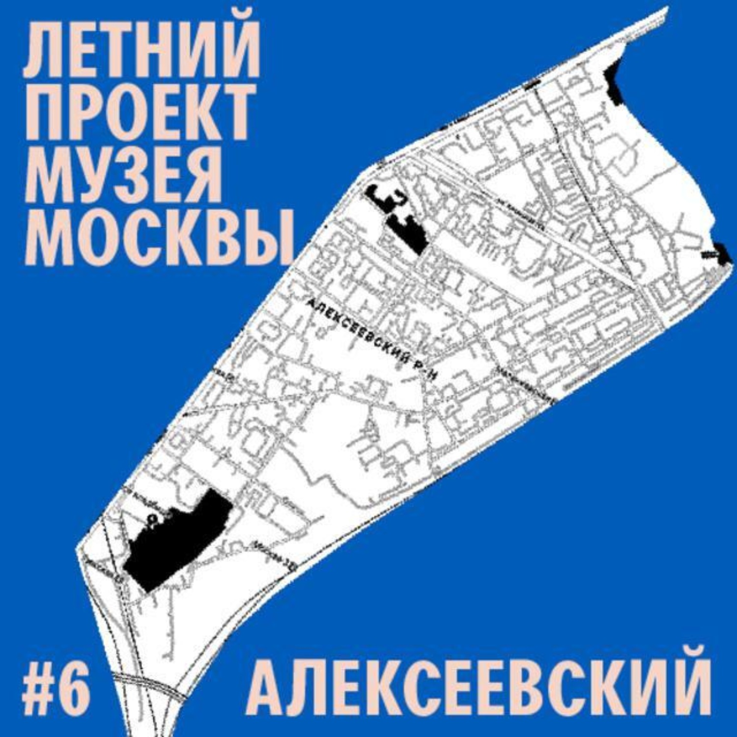 Обложка книги «Алексеевский район»