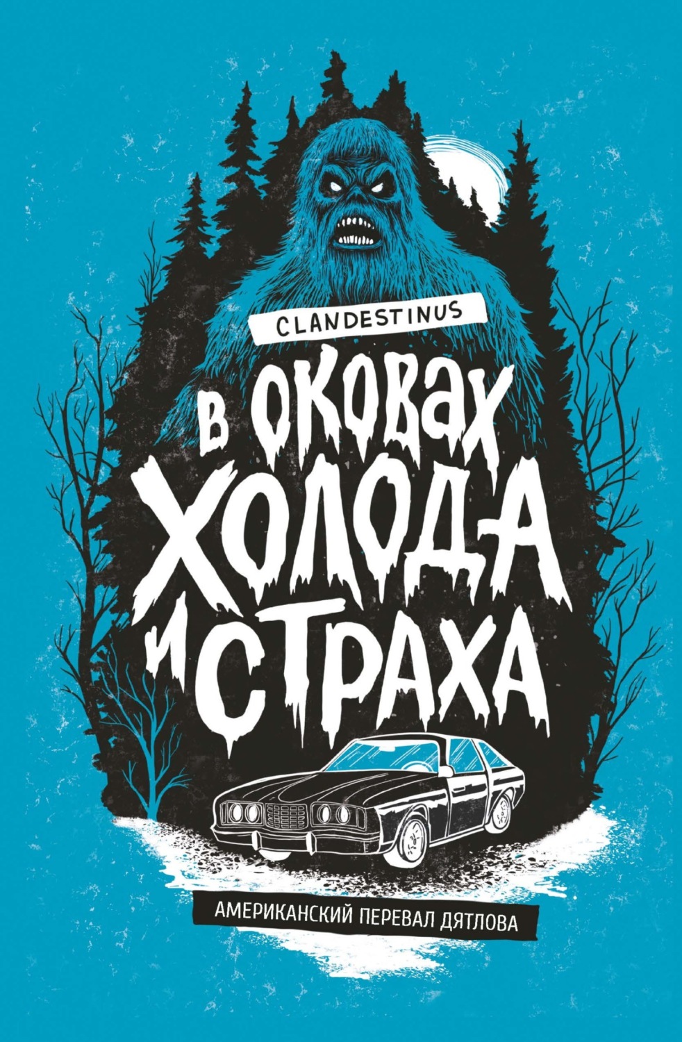 Обложка книги «В оковах холода и страха: американский перевал Дятлова»