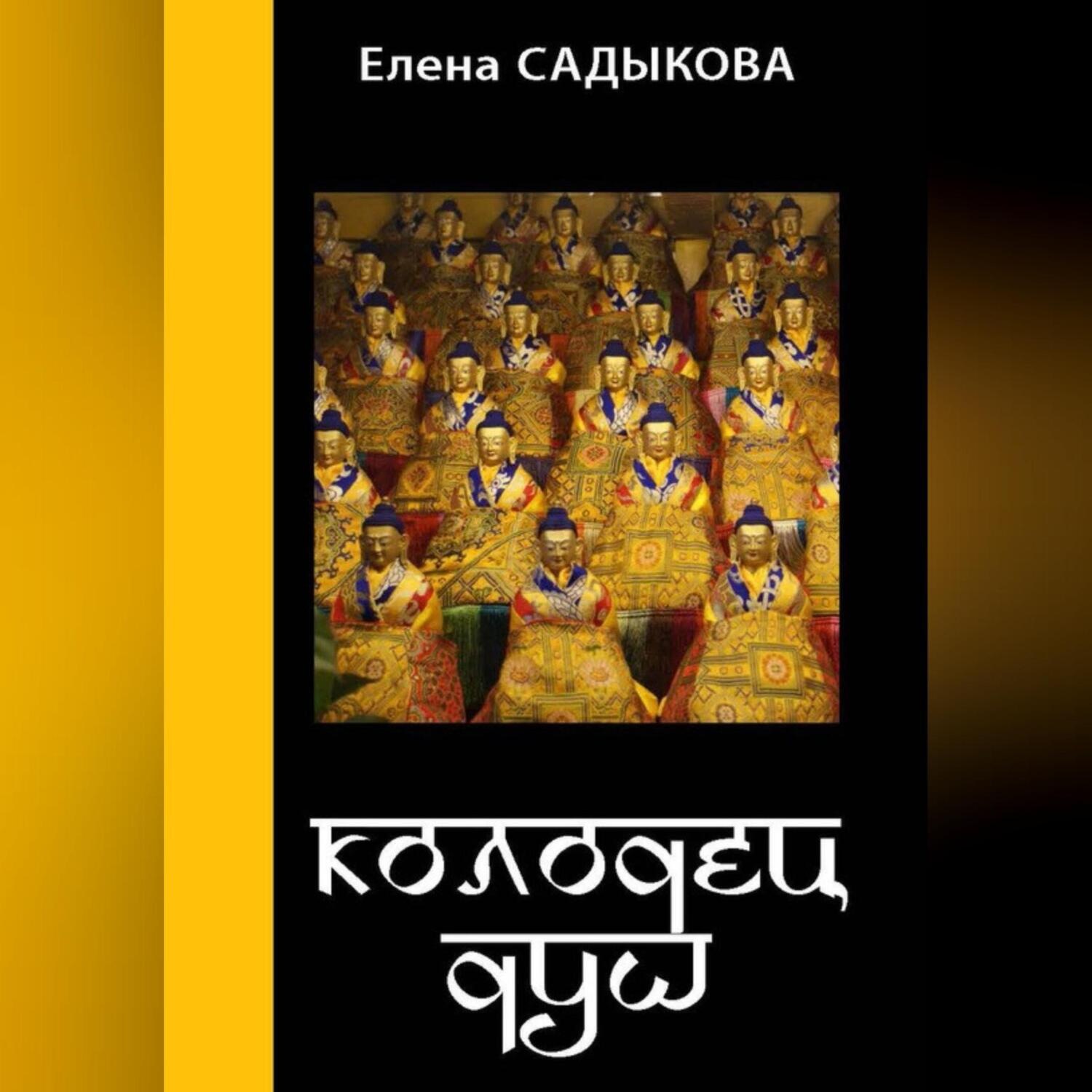 Обложка книги «Колодец душ»