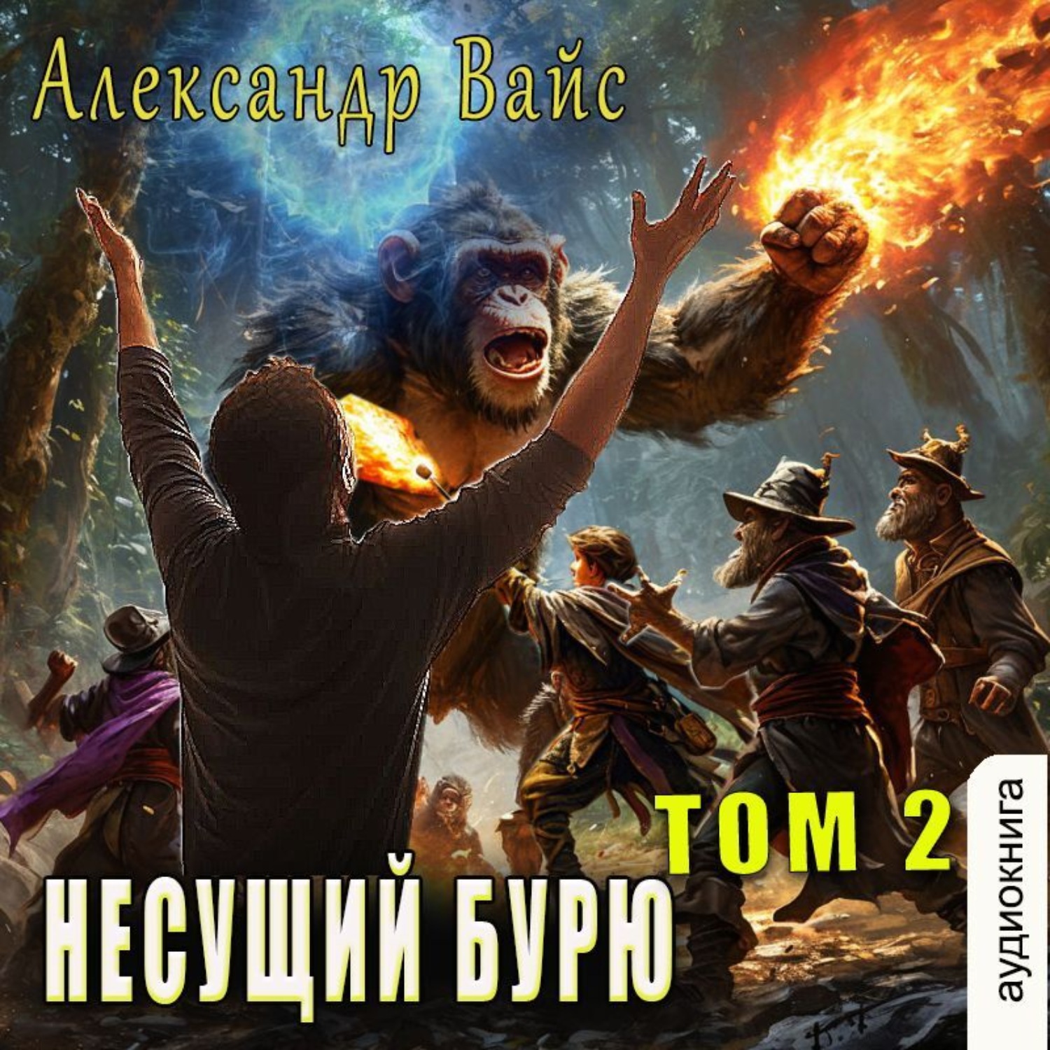 Обложка книги «Несущий бурю. Том II»