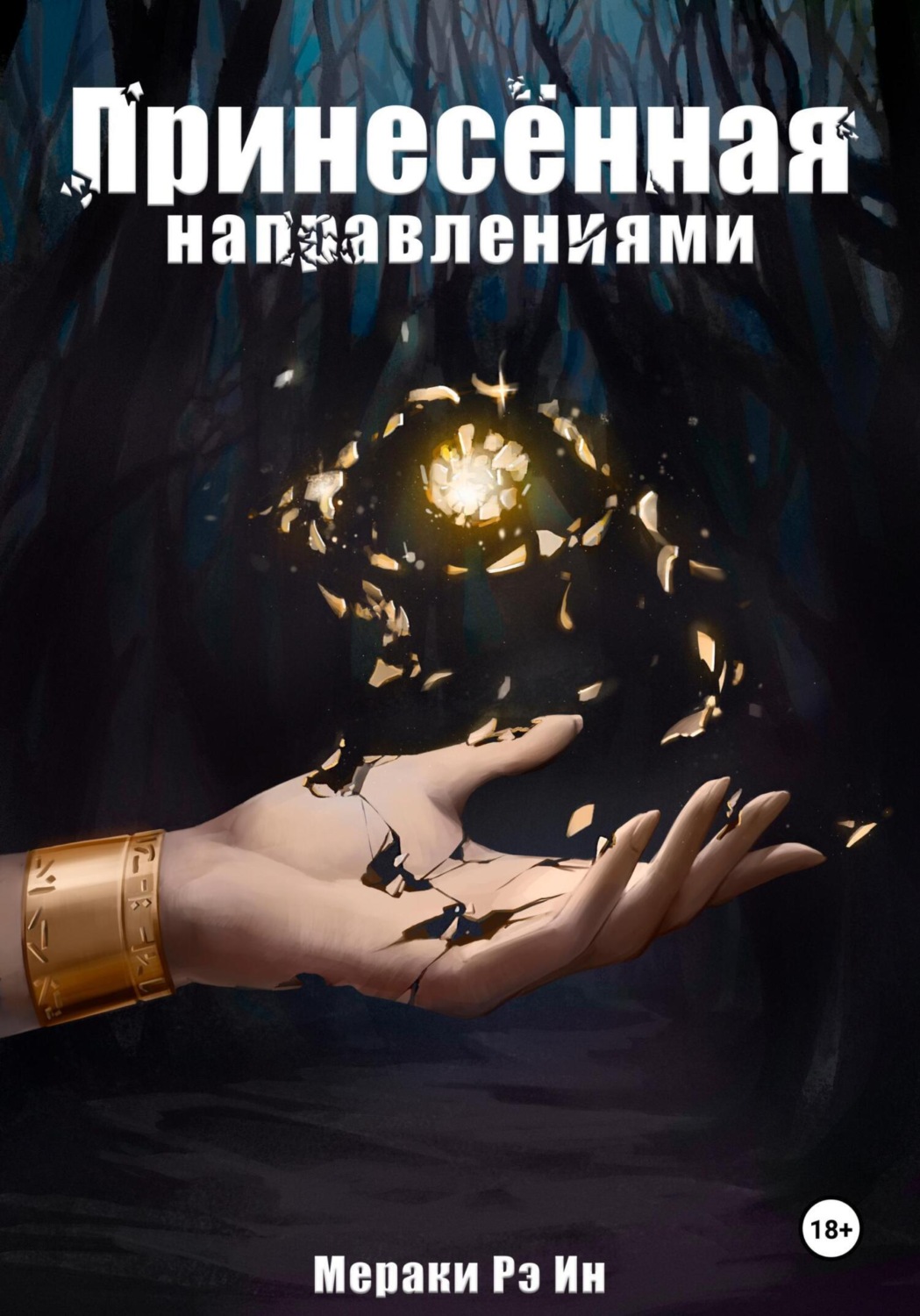 Обложка книги «Принесённая направлениями»
