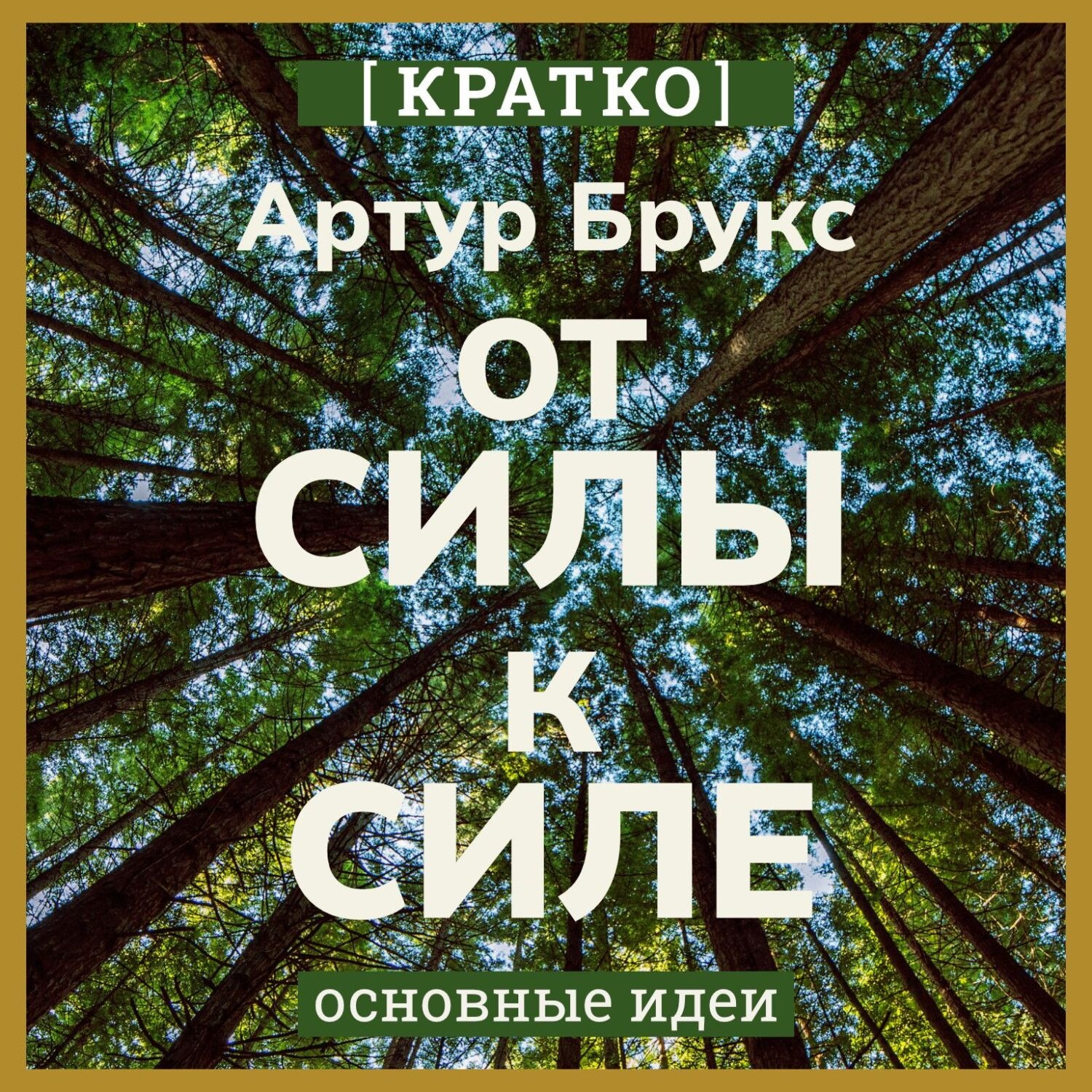 Обложка книги «От силы к силе. Обретение успеха, счастья и глубокой цели во второй половине жизни. Артур С. Брукс. Кратко»