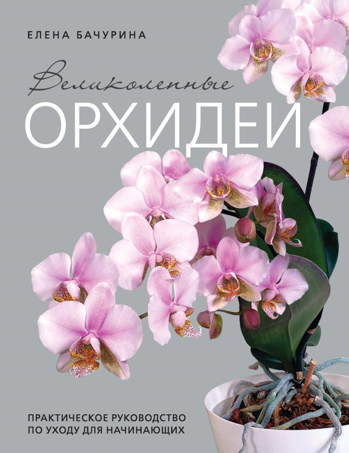 Обложка книги «Великолепные орхидеи. Практичное руководство по уходу для начинающих»