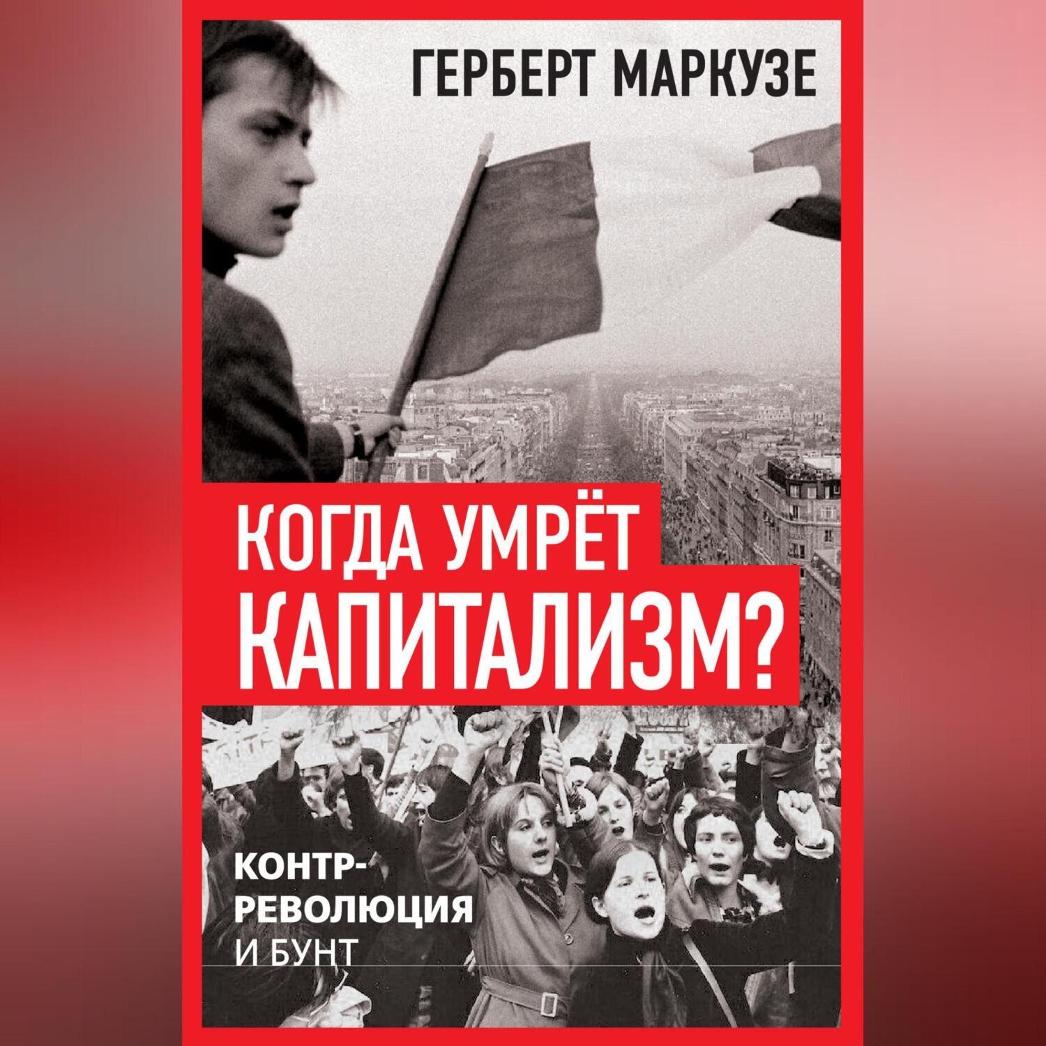 Обложка книги «Когда умрёт капитализм? Контрреволюция и бунт»