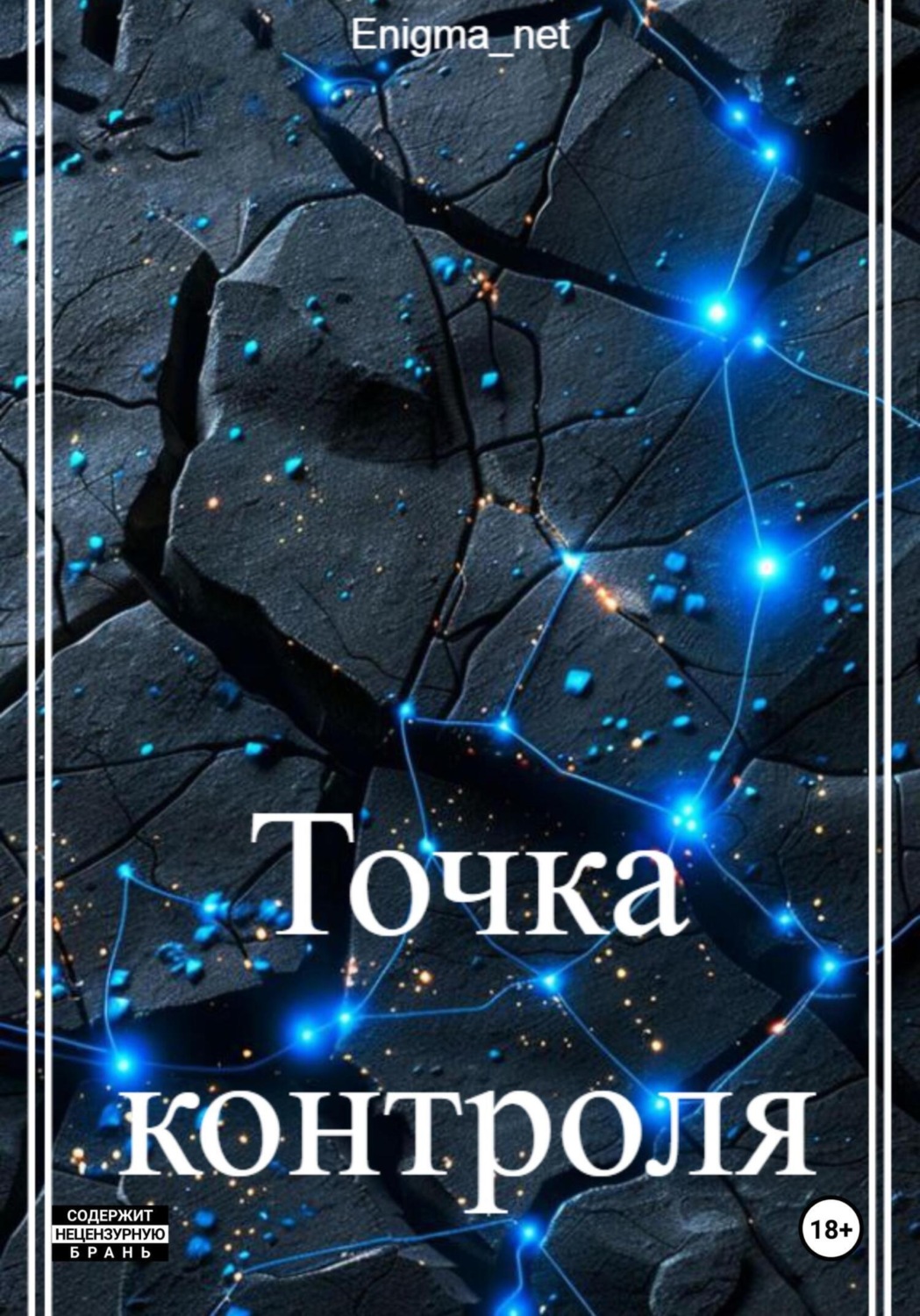 Обложка книги «Точка контроля»