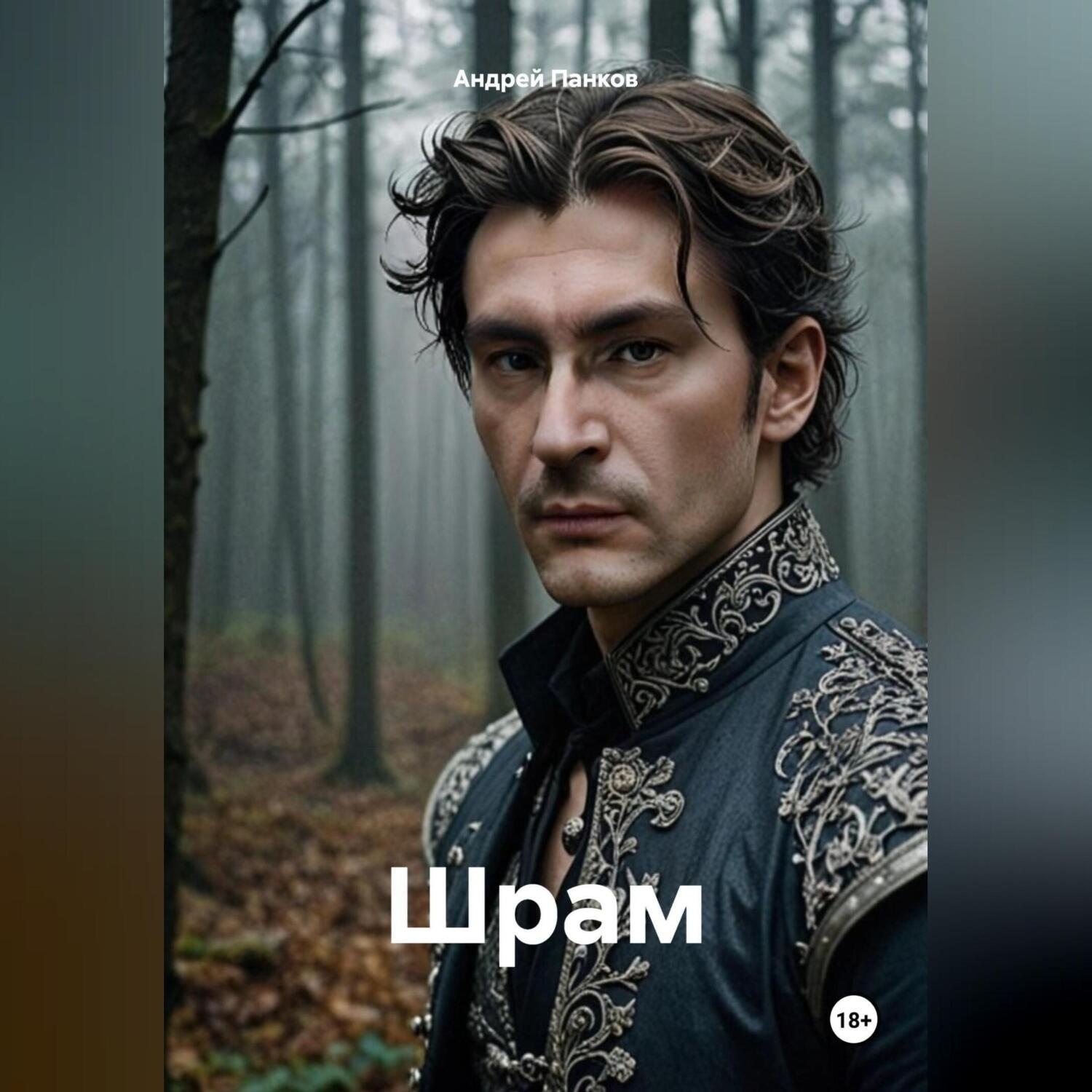 Обложка книги «Шрам»