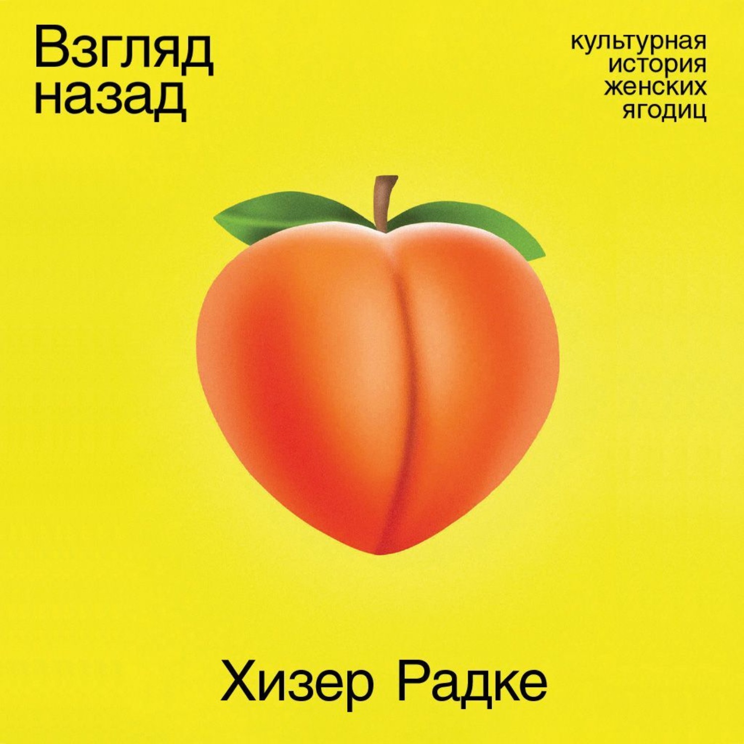Обложка книги «Взгляд назад: Культурная история женских ягодиц»