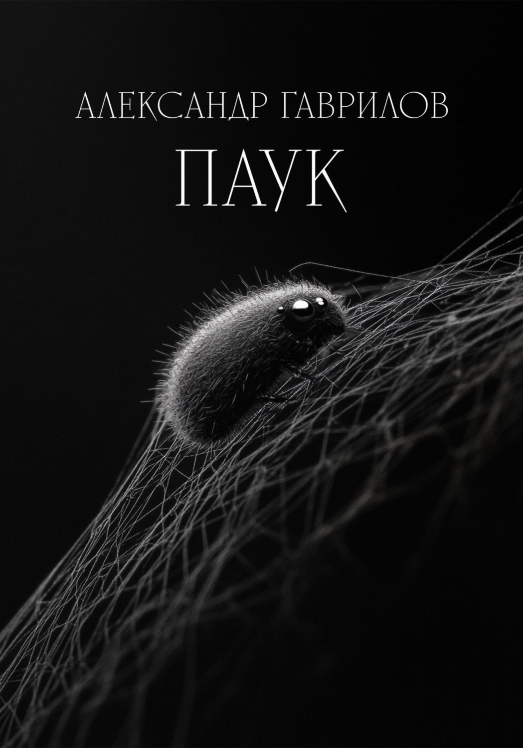 Обложка книги «Паук»