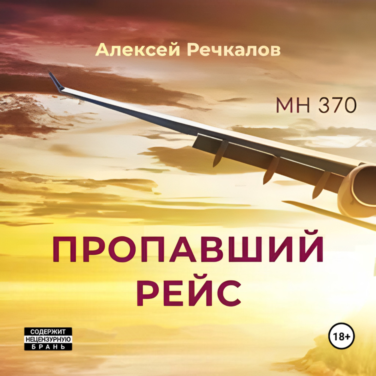Обложка книги «Пропавший рейс»
