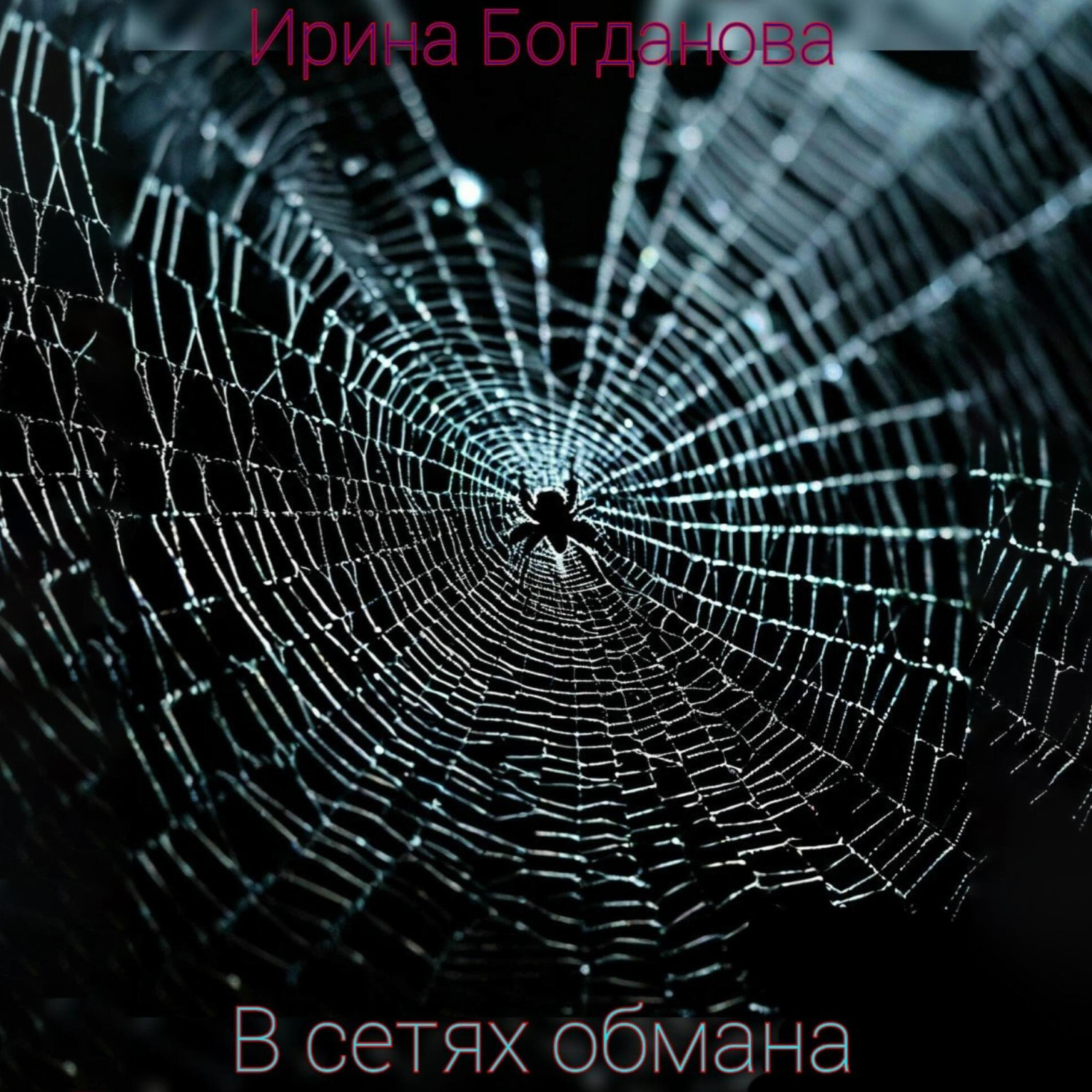 Обложка книги «В сетях обмана»