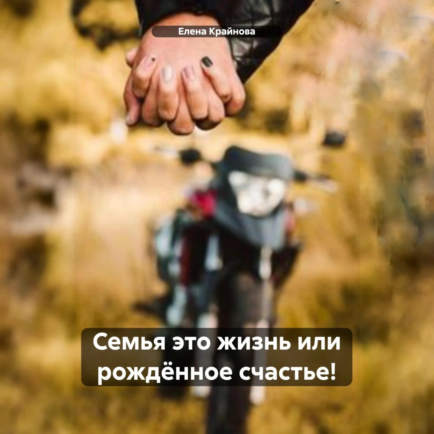 Обложка книги «Семья это жизнь или рождëнное счастье!»