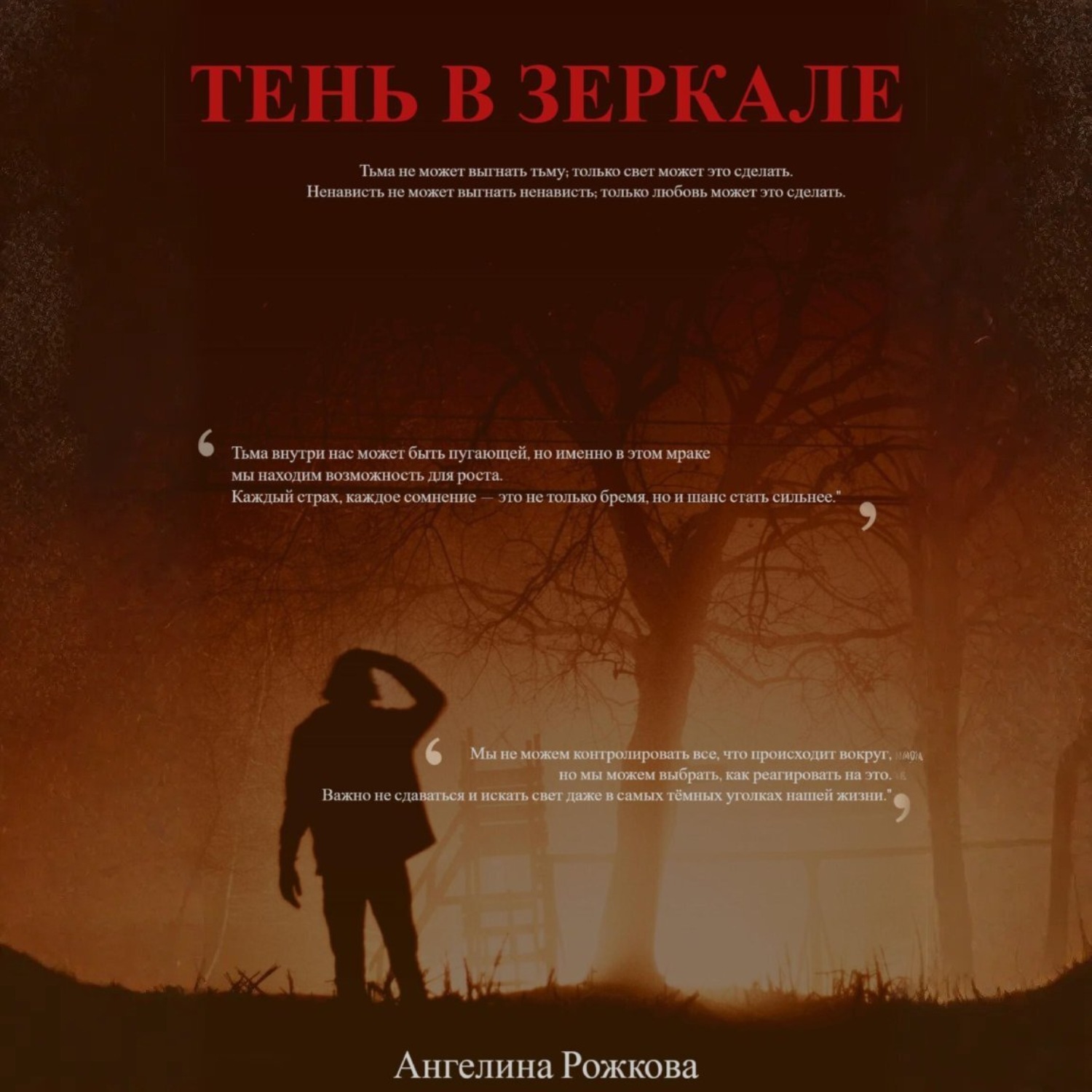 Обложка книги «Тень в зеркале»