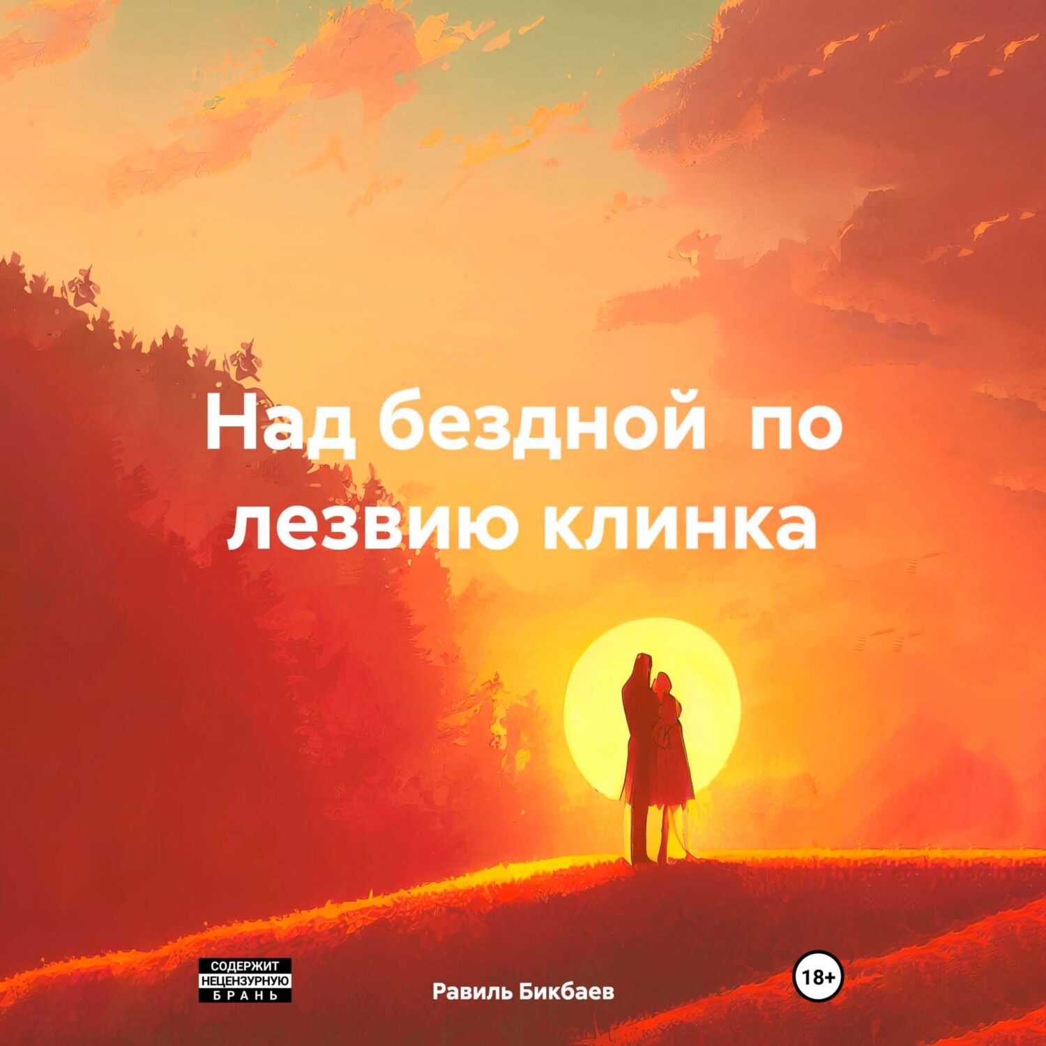 Обложка книги «Над бездной по лезвию клинка»