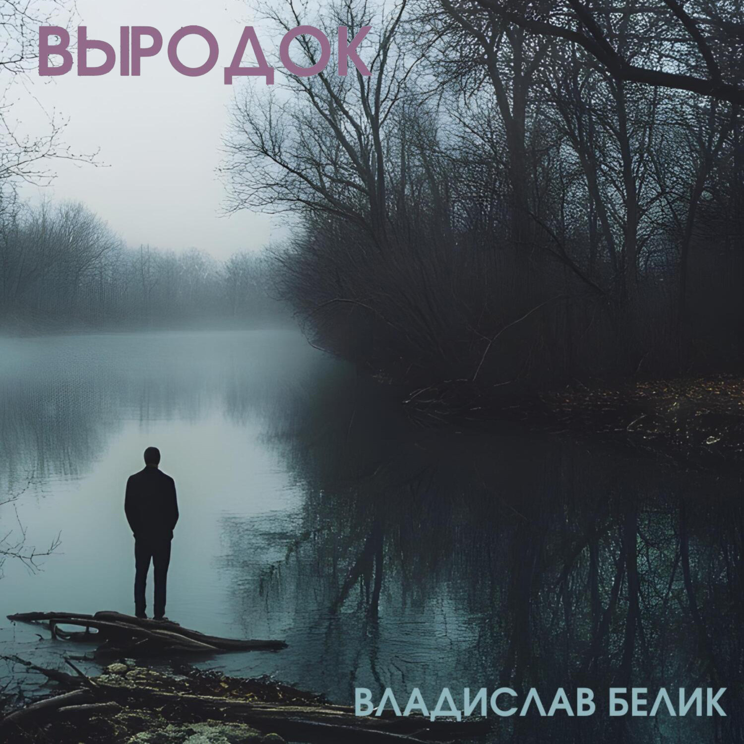 Обложка книги «Выродок»