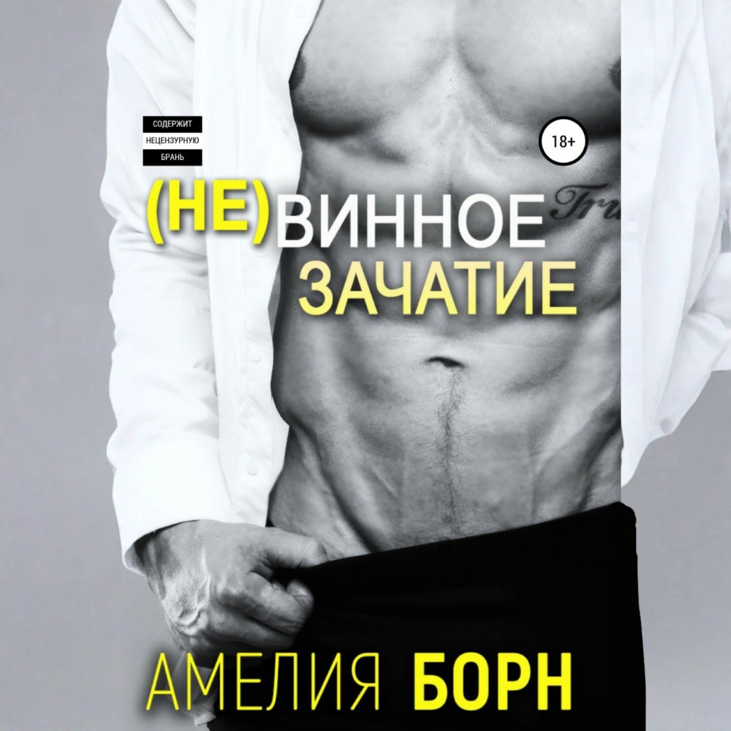 Обложка книги «Невинное зачатие»
