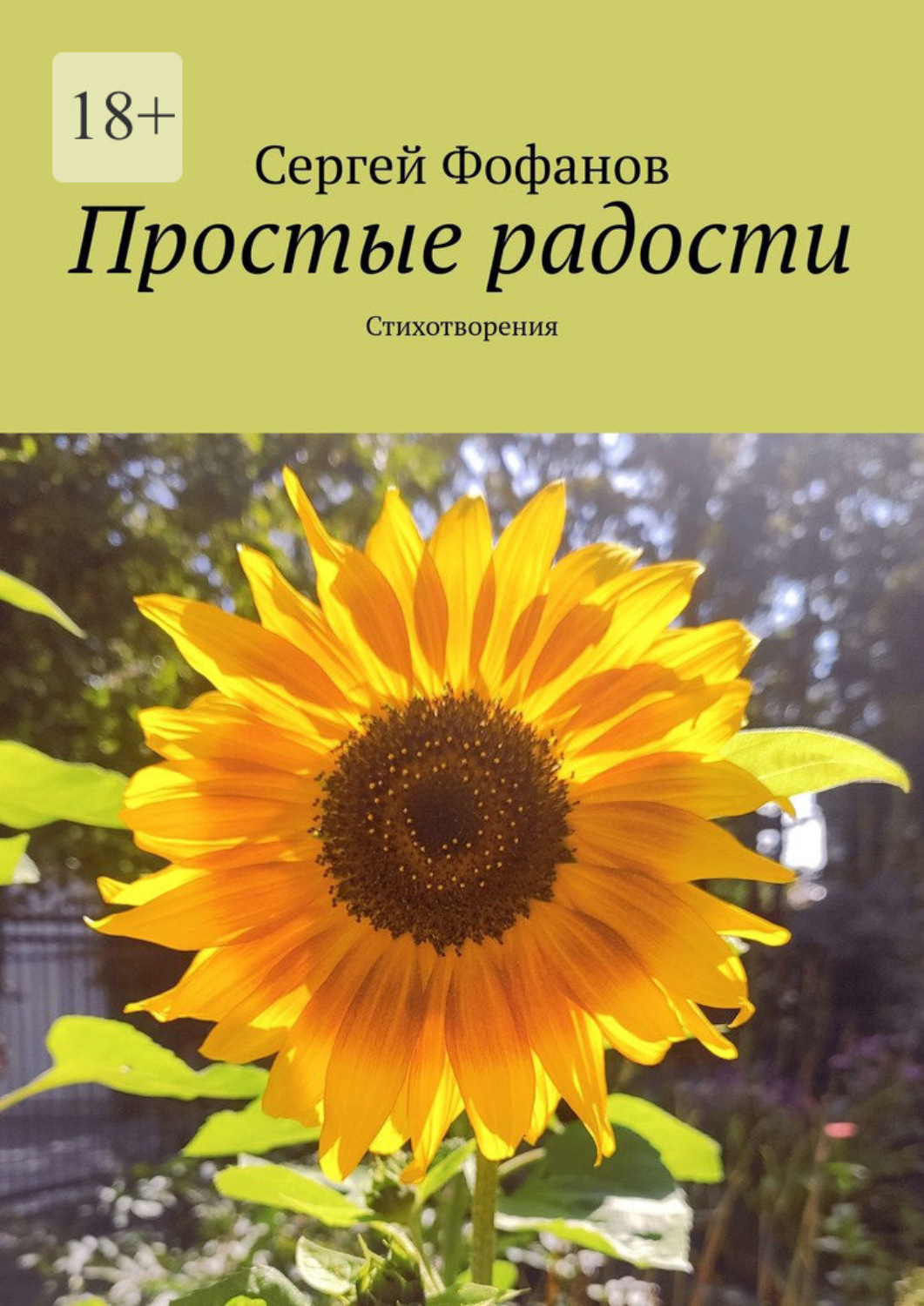Обложка книги «Простые радости. Стихотворения»