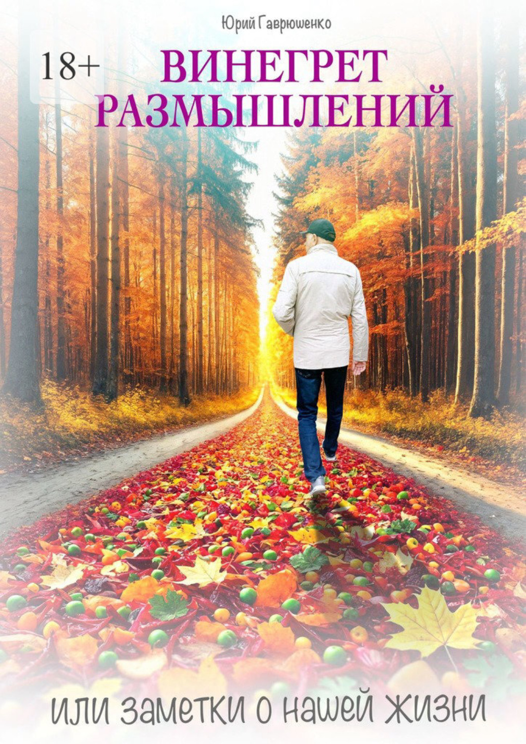 Обложка книги «Винегрет размышлений. Или заметки о нашей жизни»