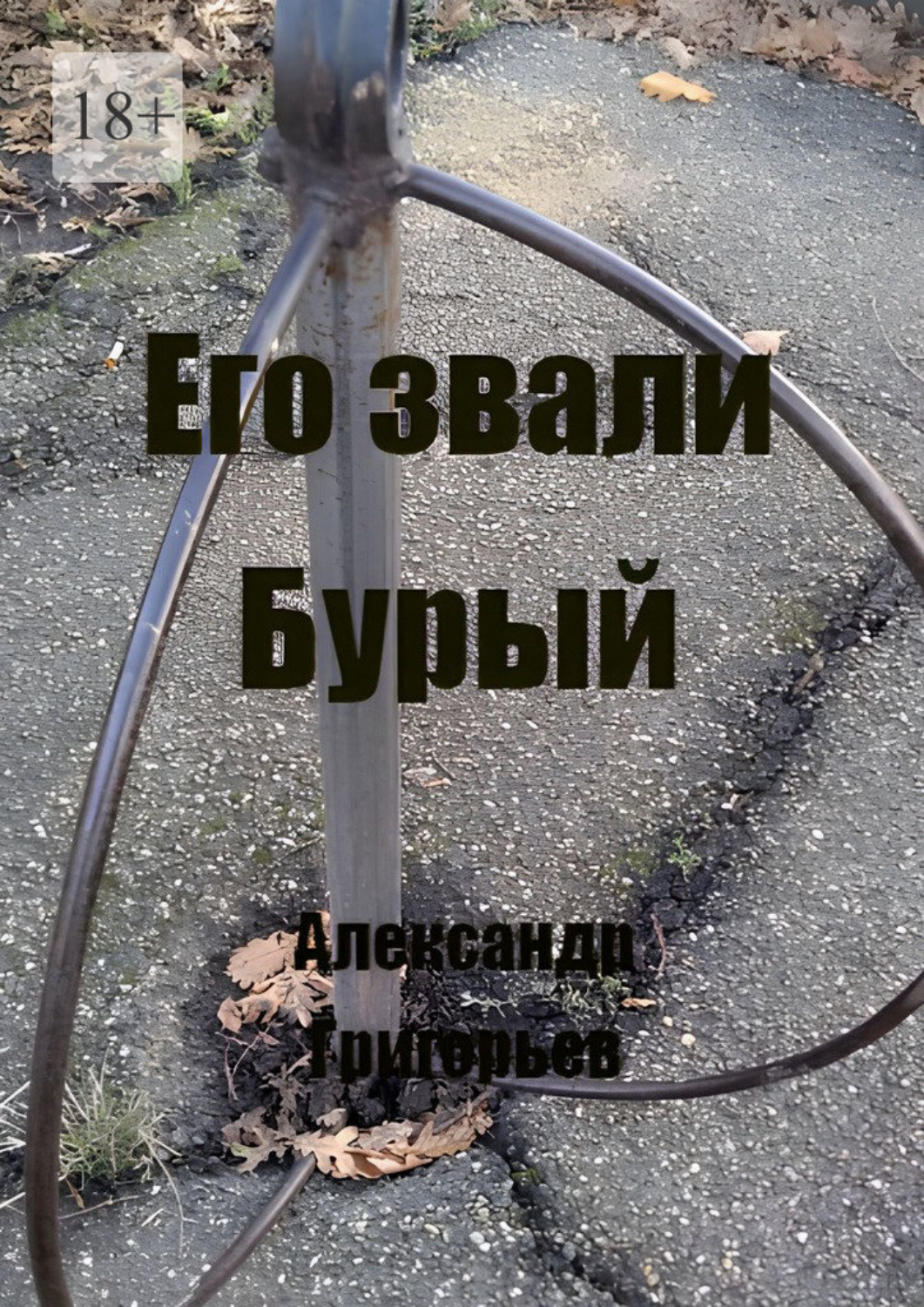 Обложка книги «Его звали Бурый»