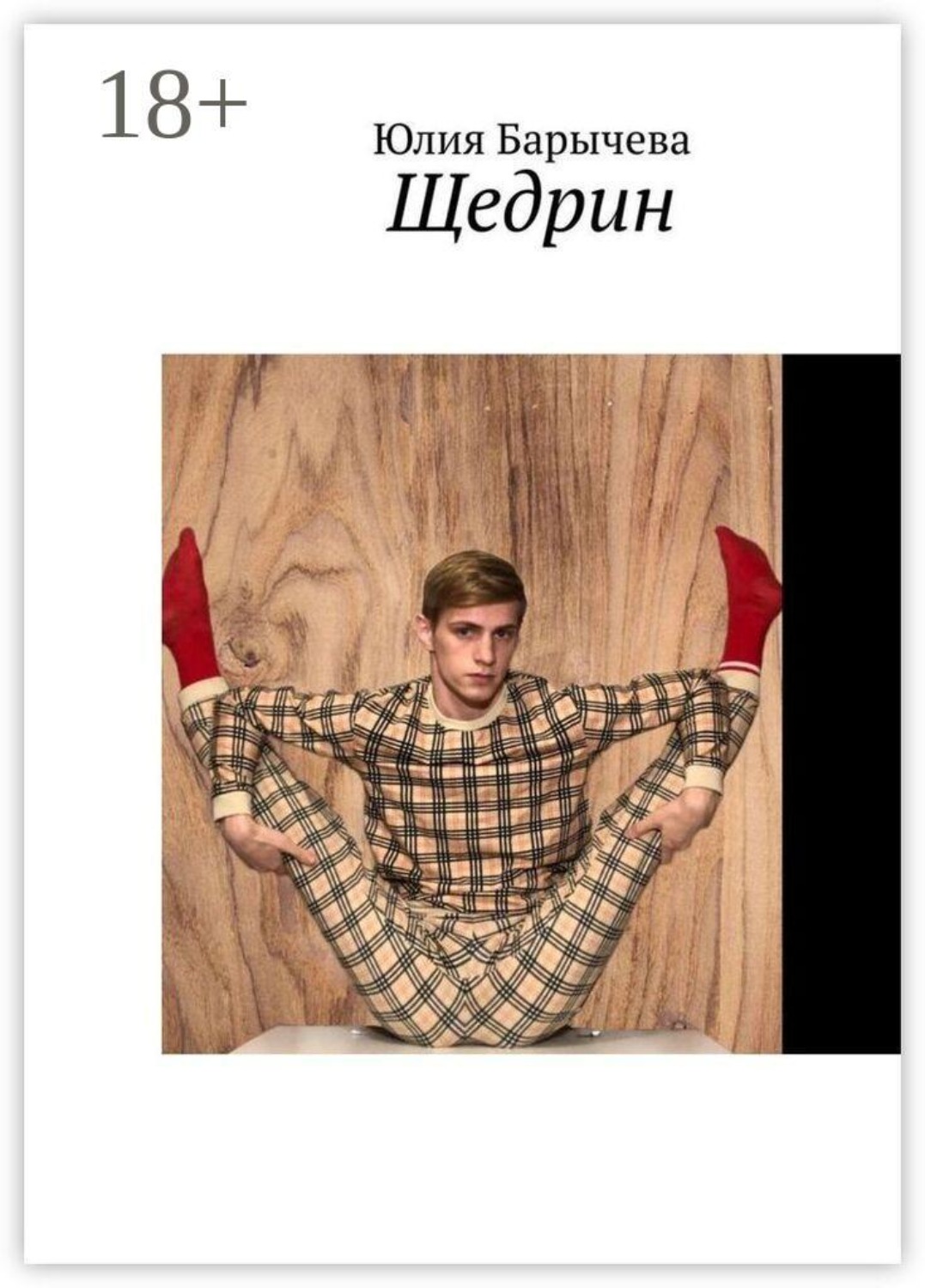 Обложка книги «Щедрин»