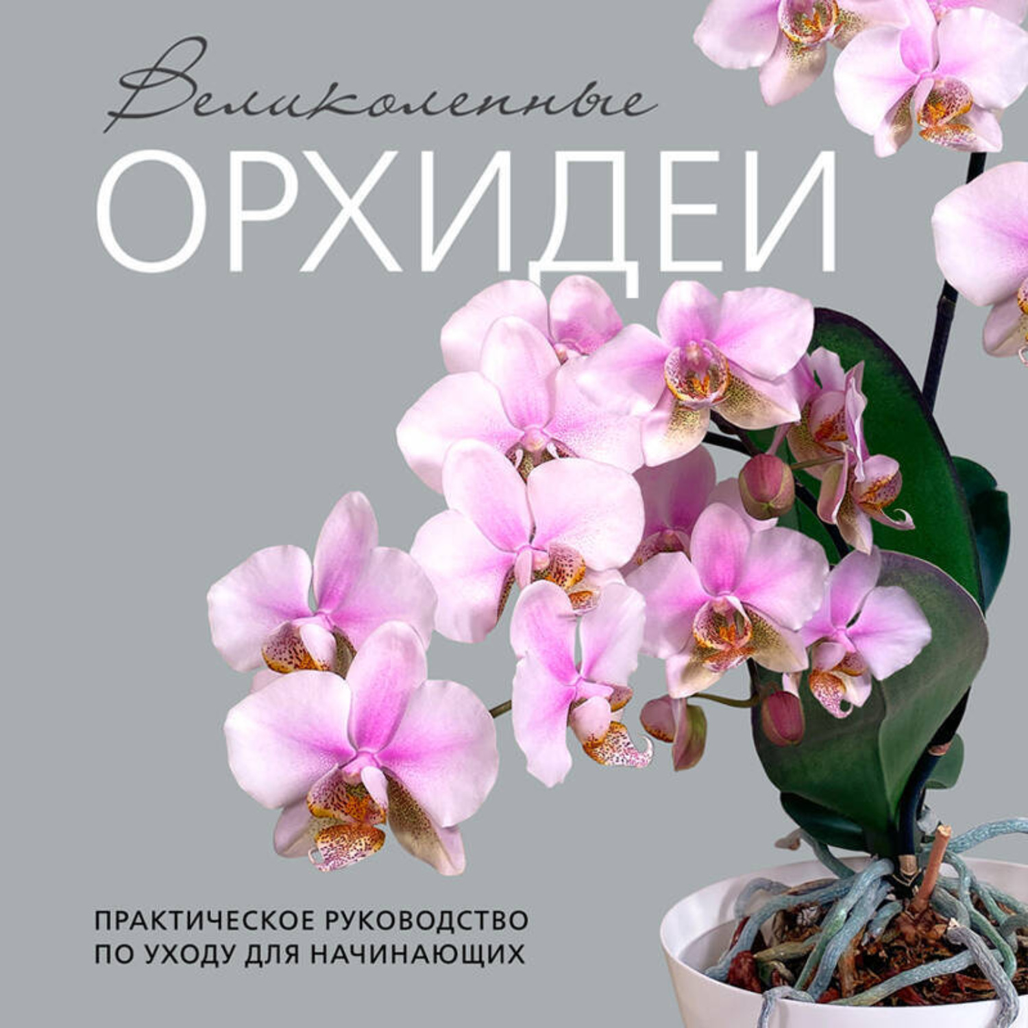 Обложка книги «Великолепные орхидеи. Практичное руководство по уходу для начинающих»