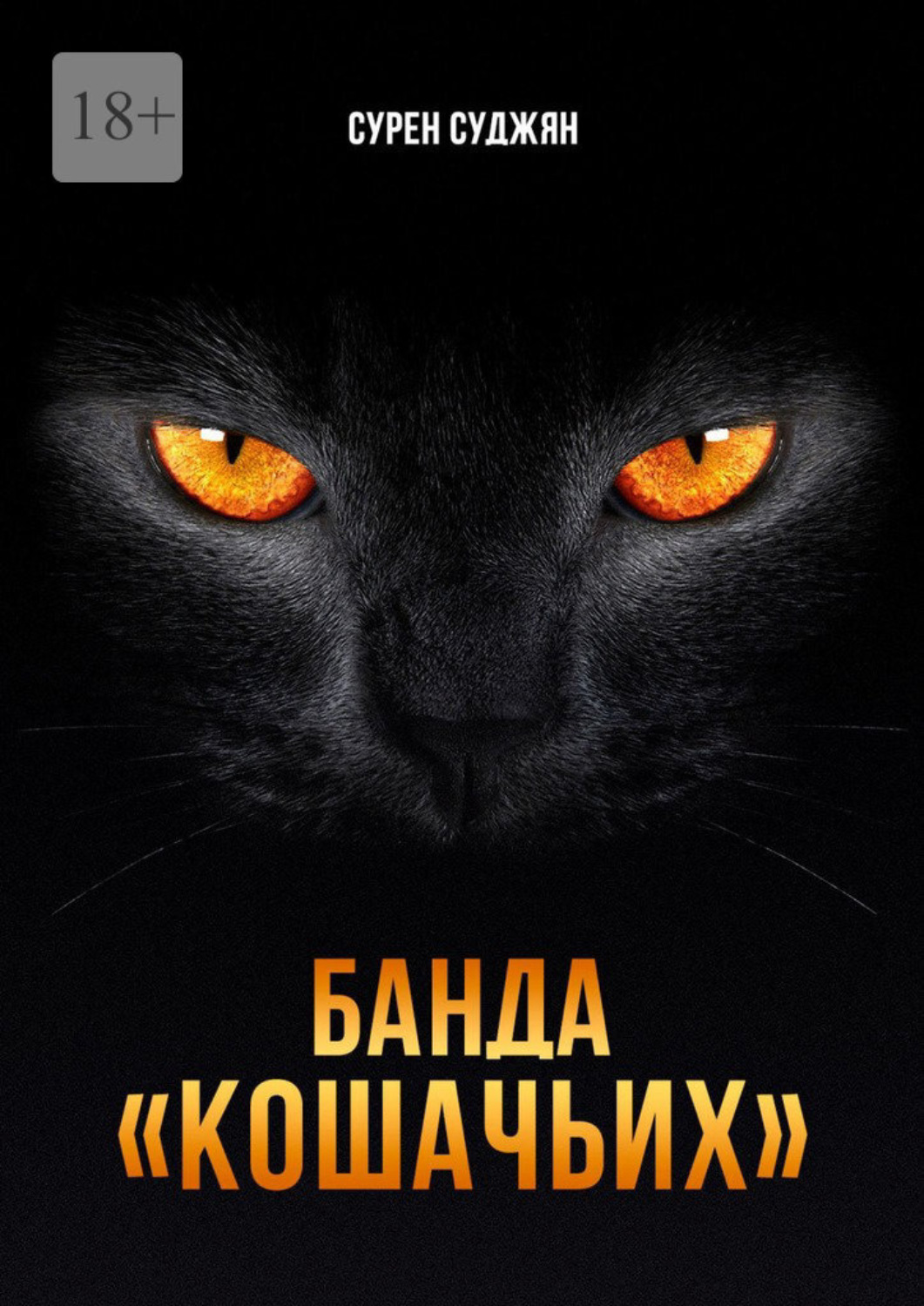 Обложка книги «Банда «Кошачьих»»