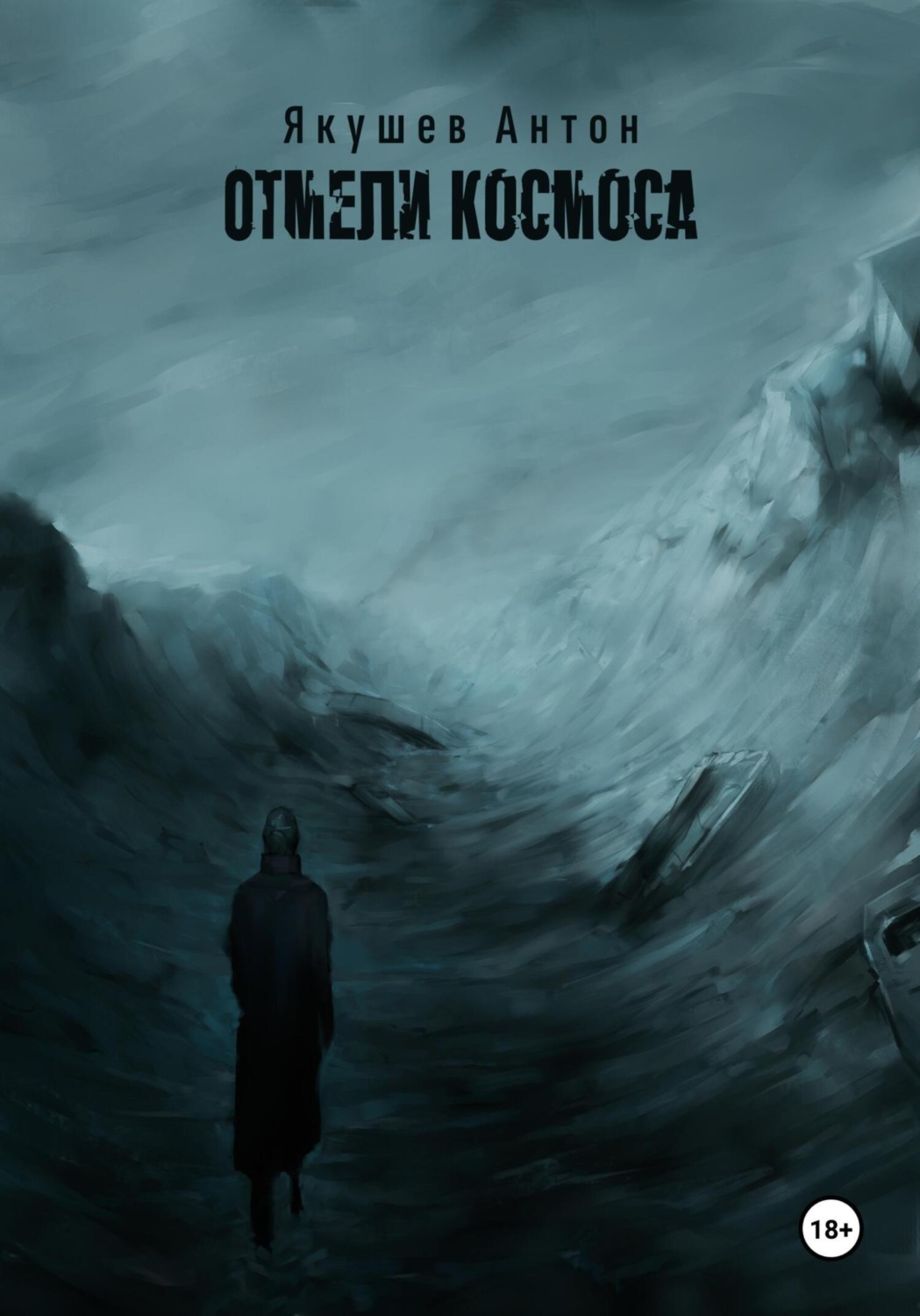 Обложка книги «Отмели космоса»